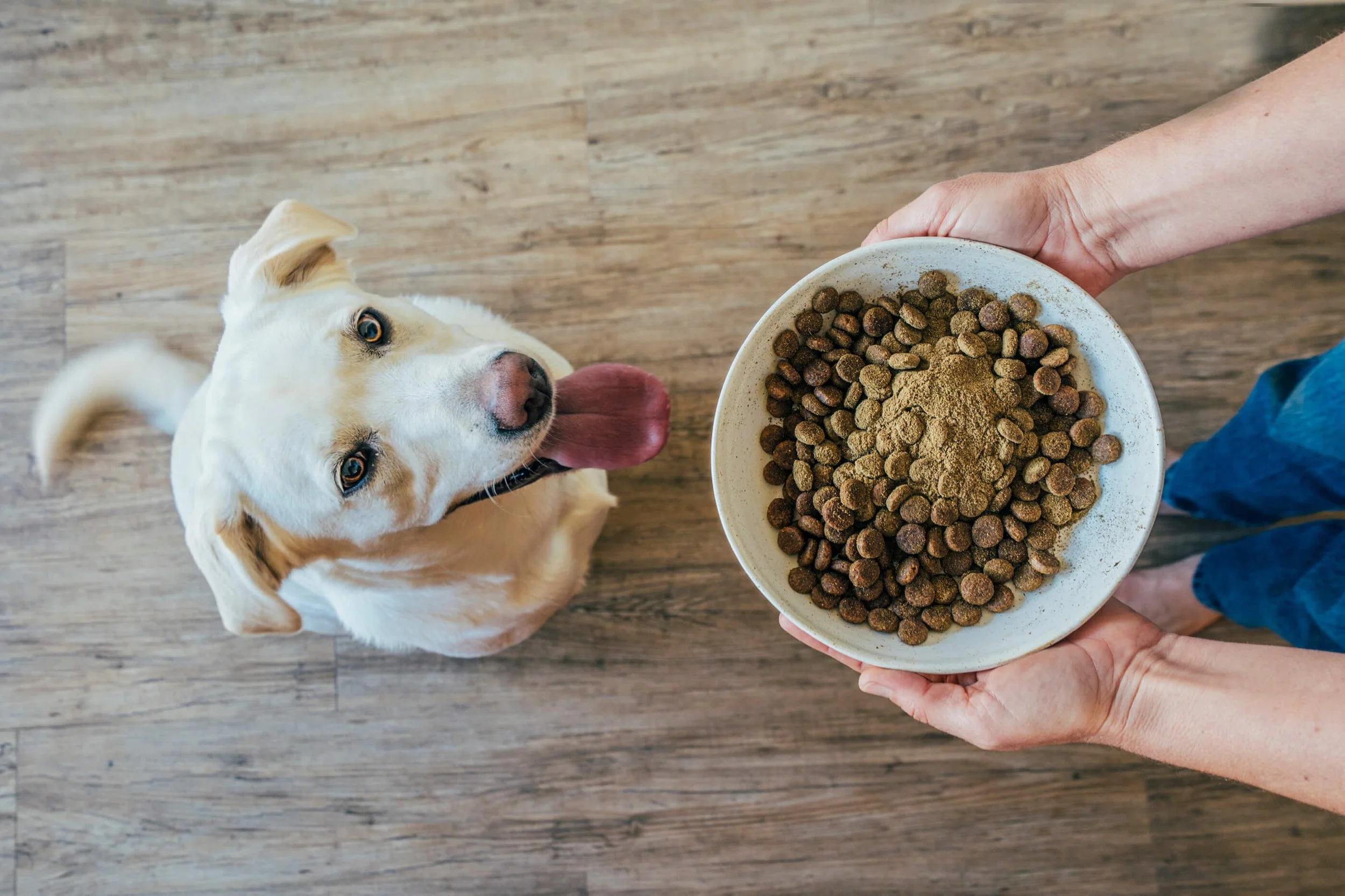 annamul PHOTO 12.jpg