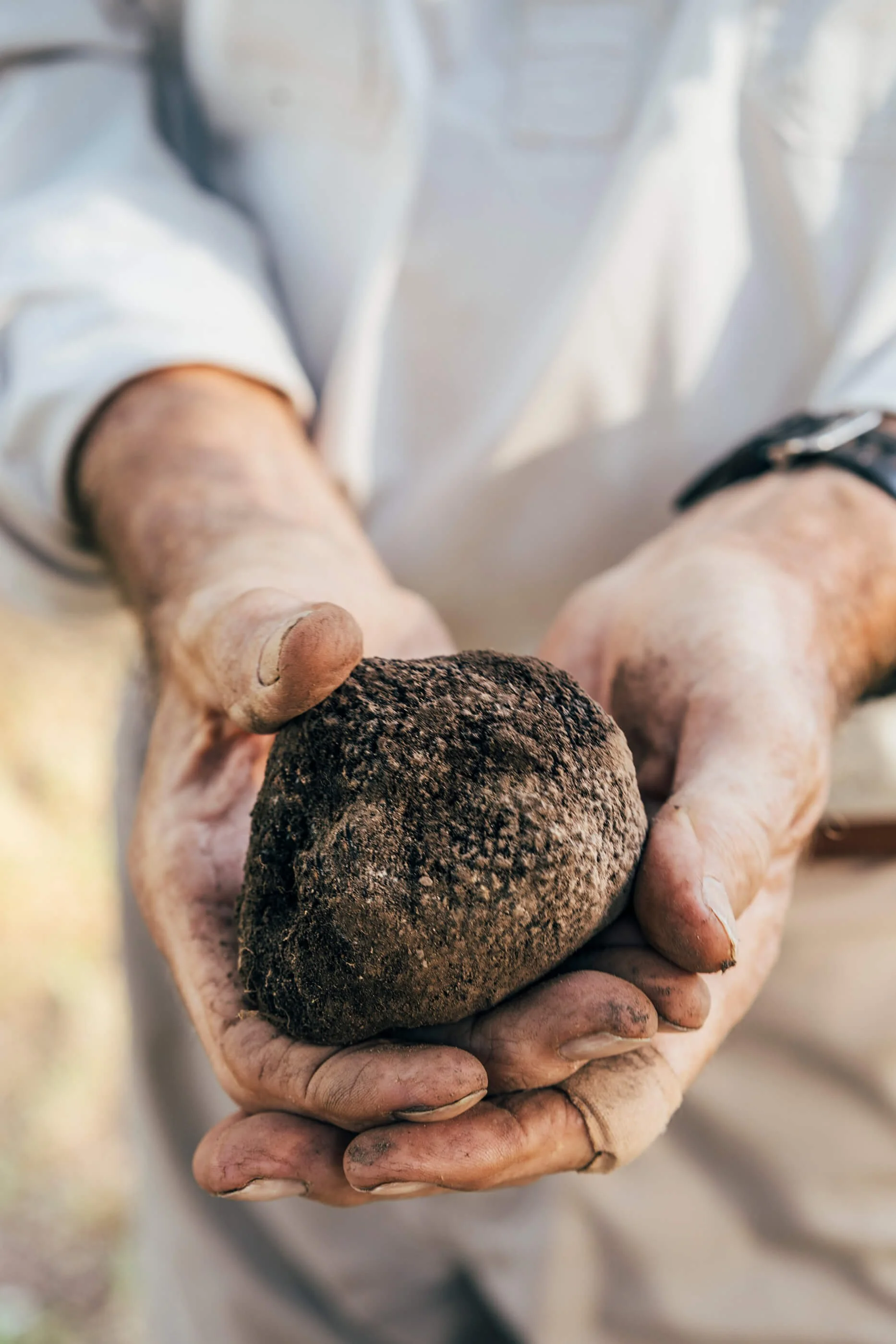 annamul PHOTO 46.jpg