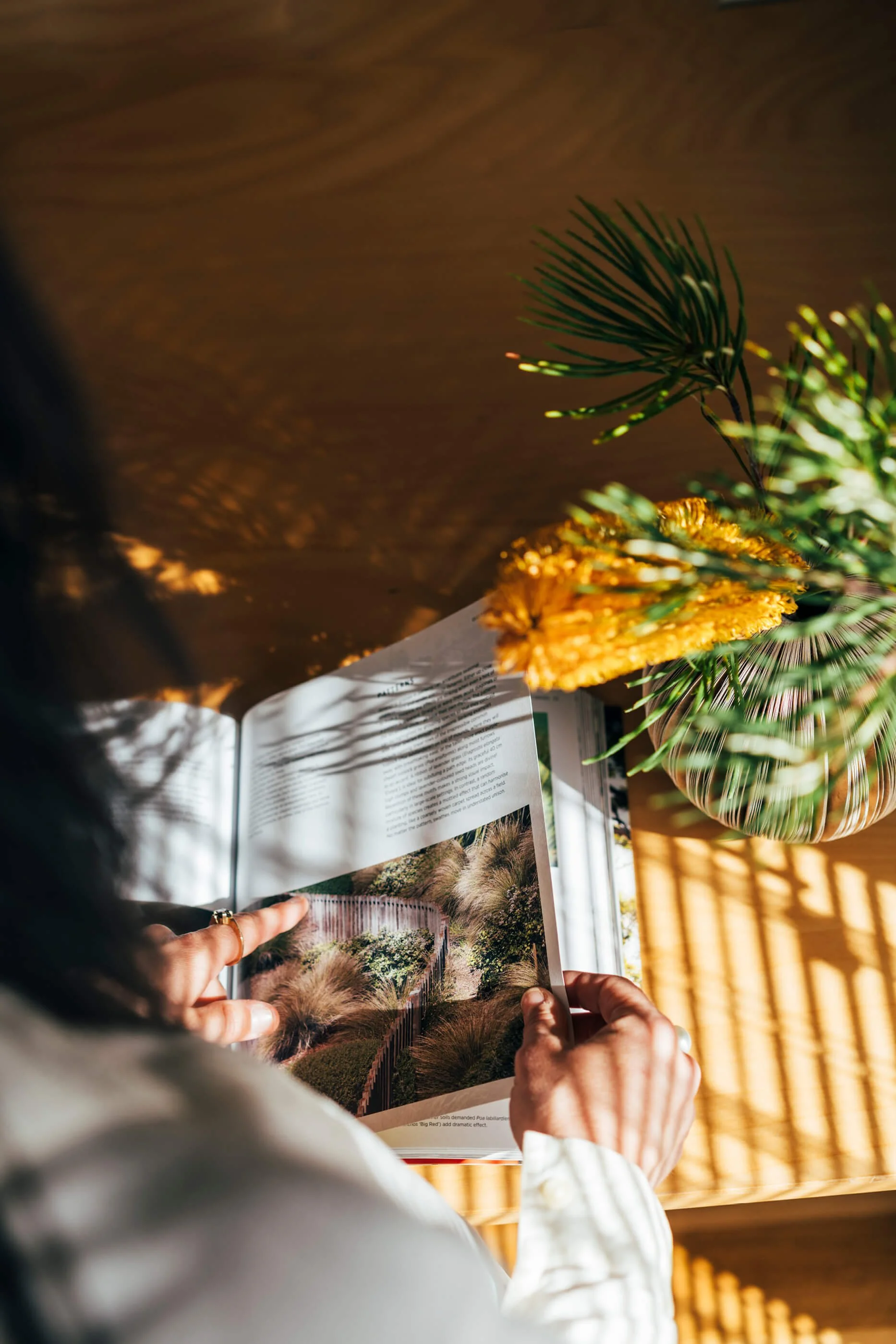 annamul PHOTO 17.jpg