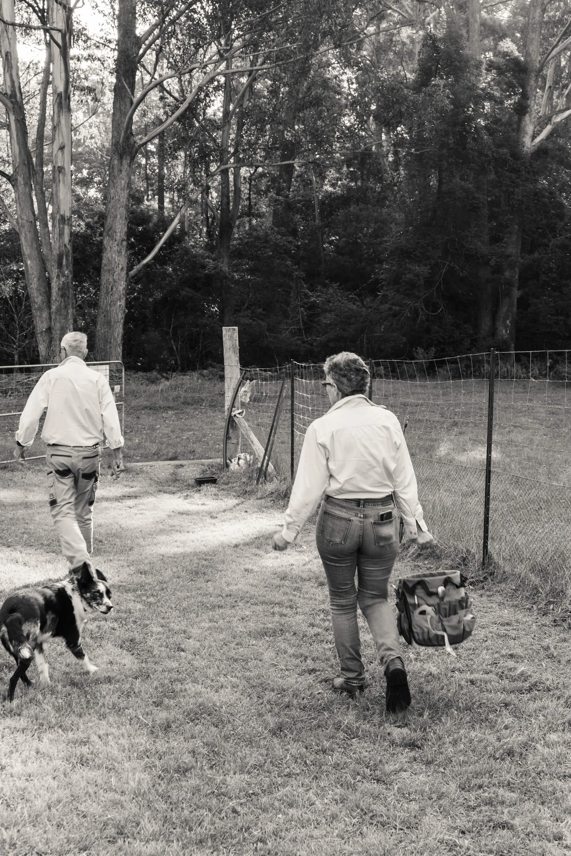 annamul PHOTO 45.jpg