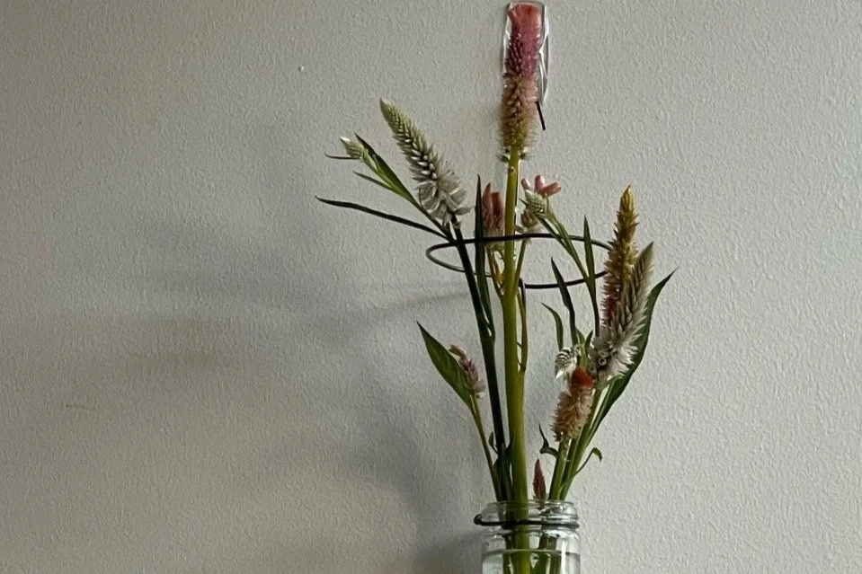 IMG_6987 - Copy2.jpg