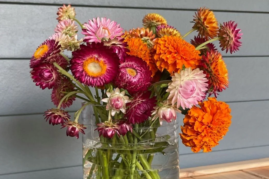 vase  040124.jpg