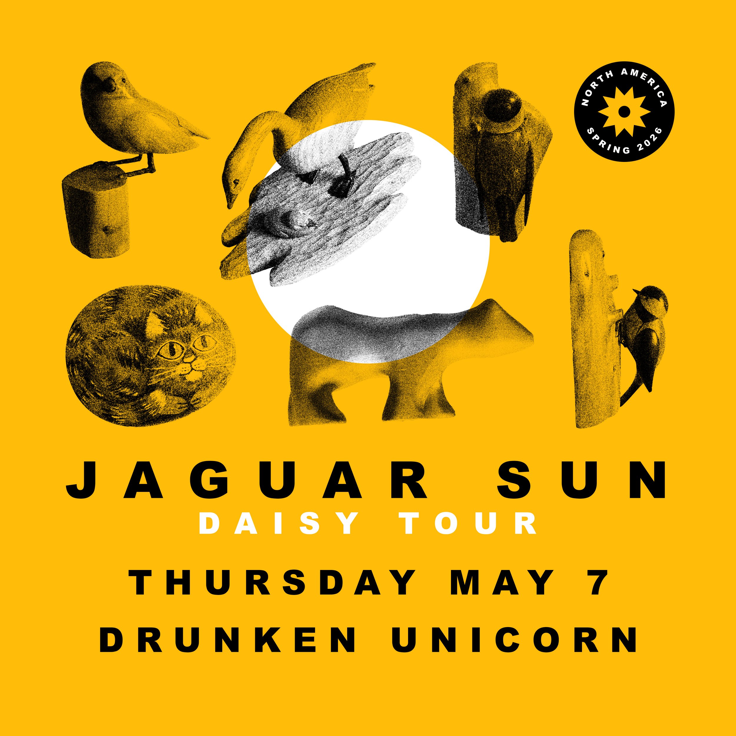 Jaguar Sun