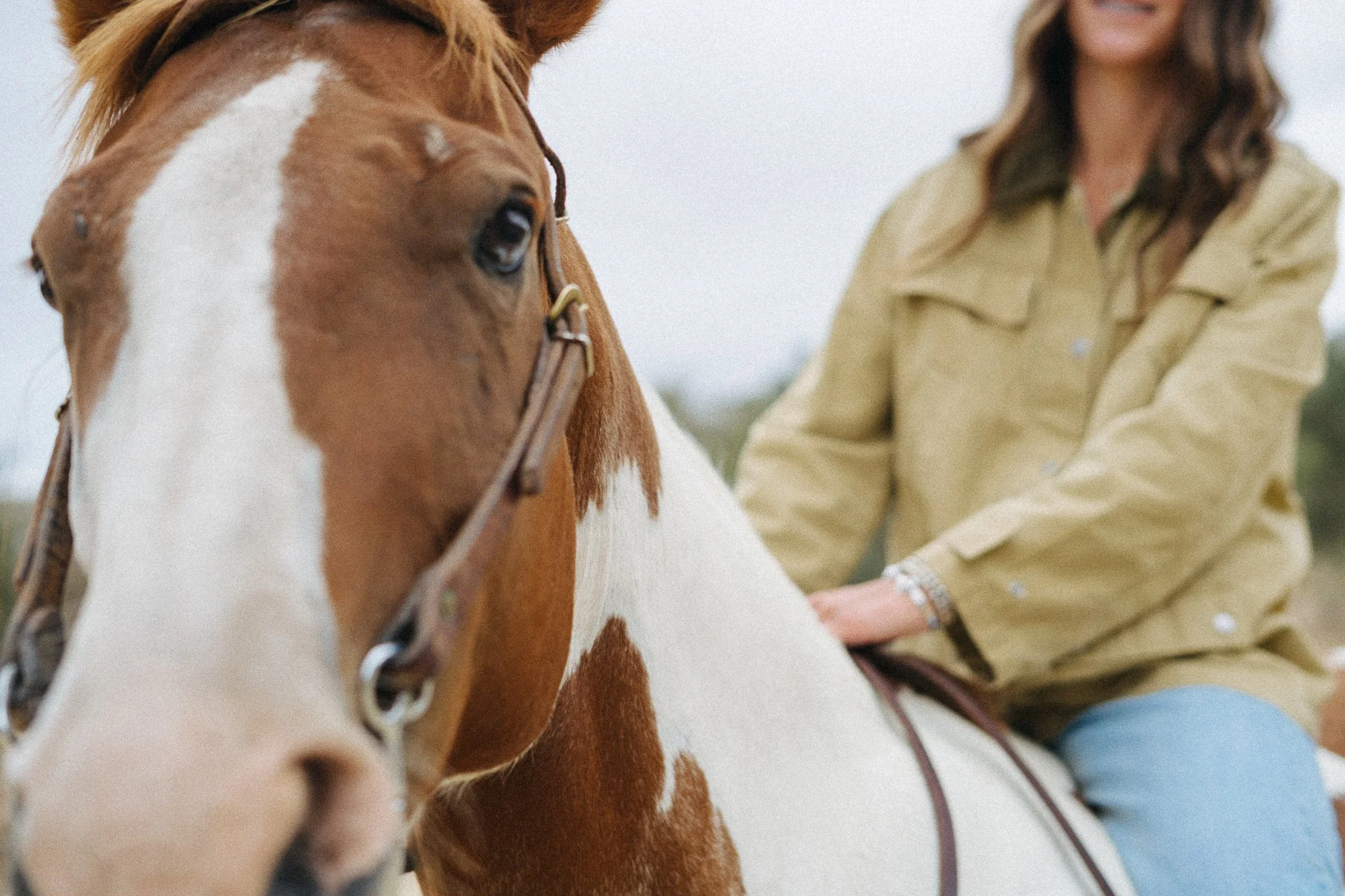 DSC00116.jpg