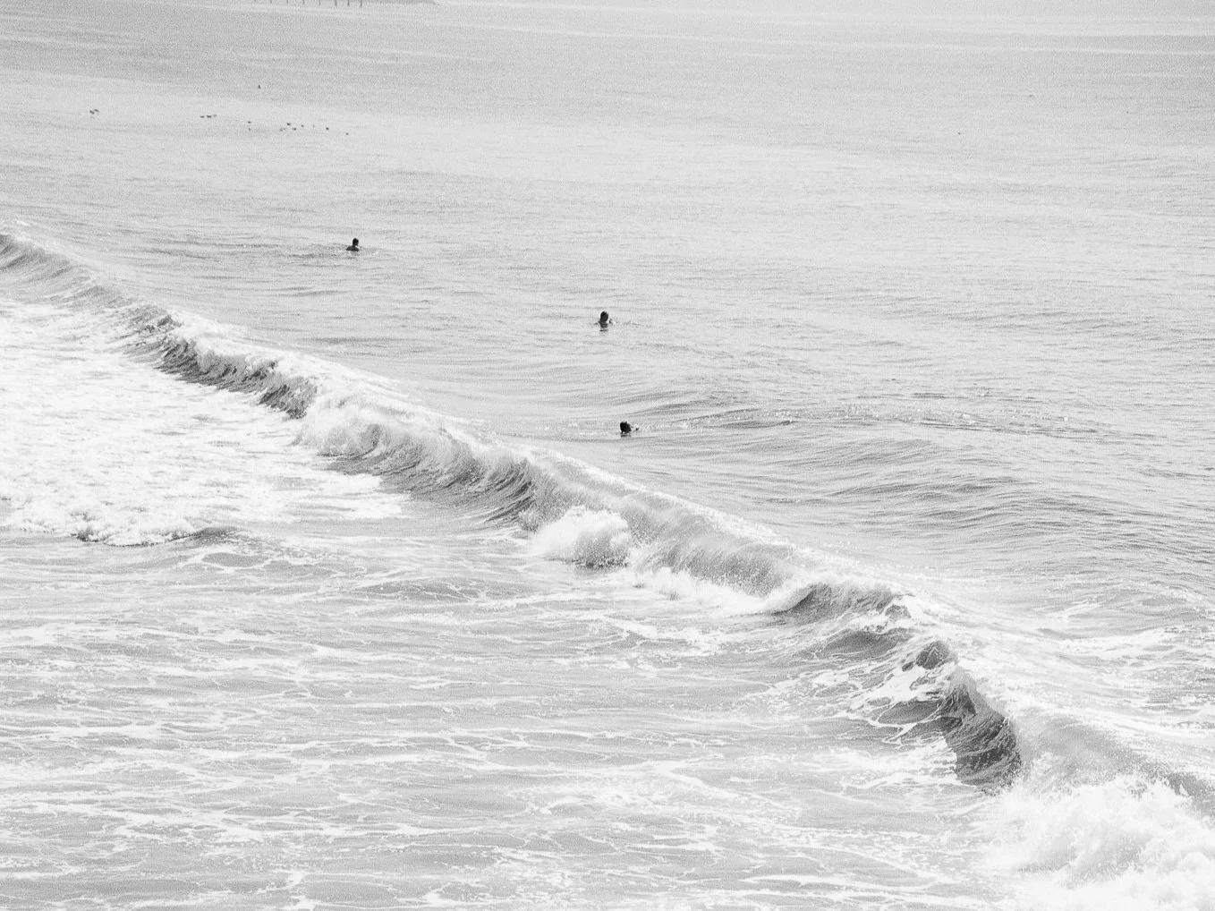 The California Collection