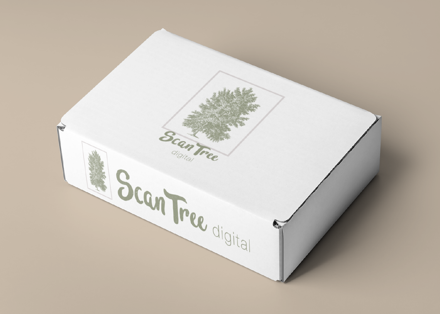 Caseytoler-website-images_Scan Tree-04.png