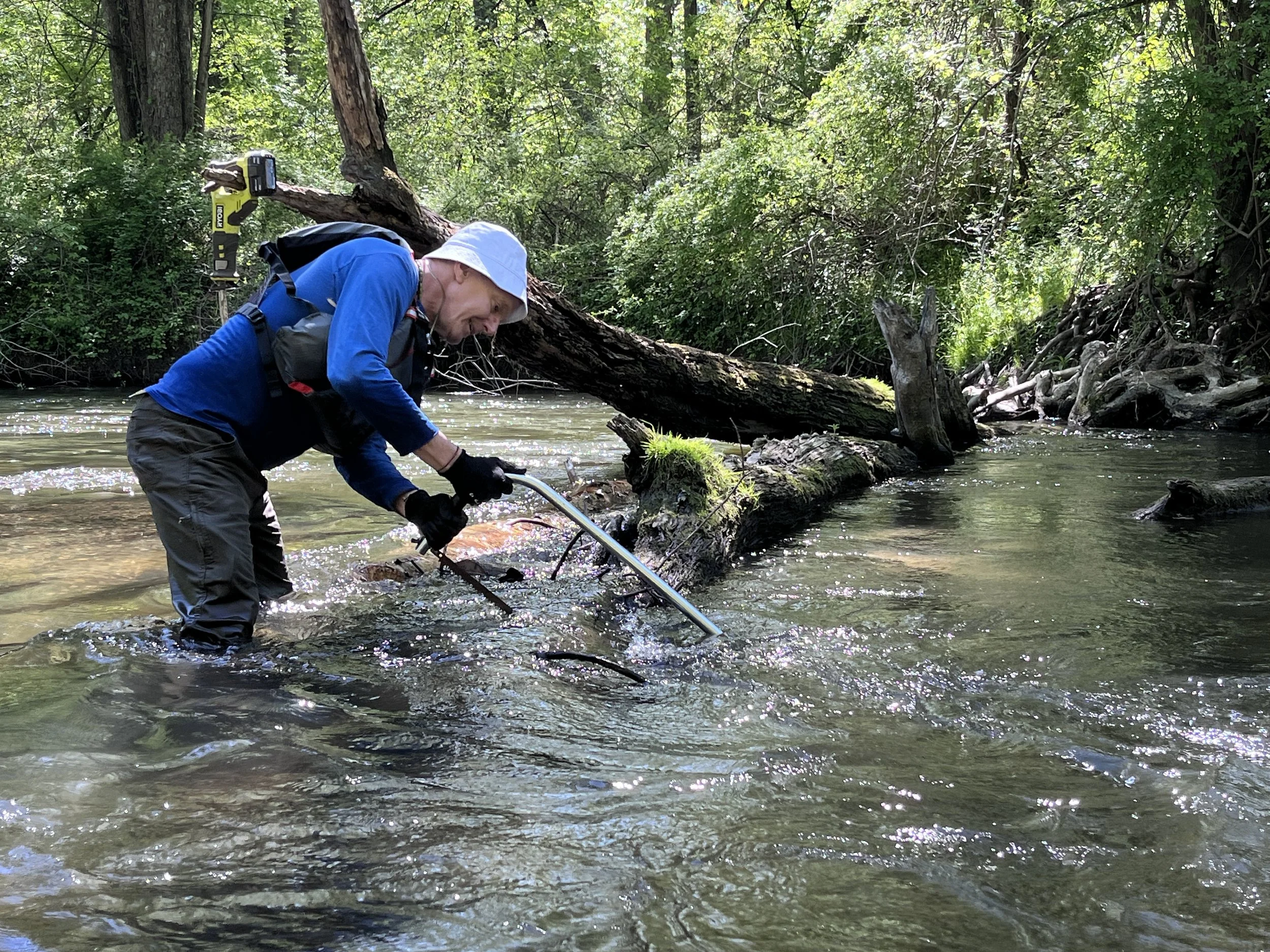 Creek clearing work party