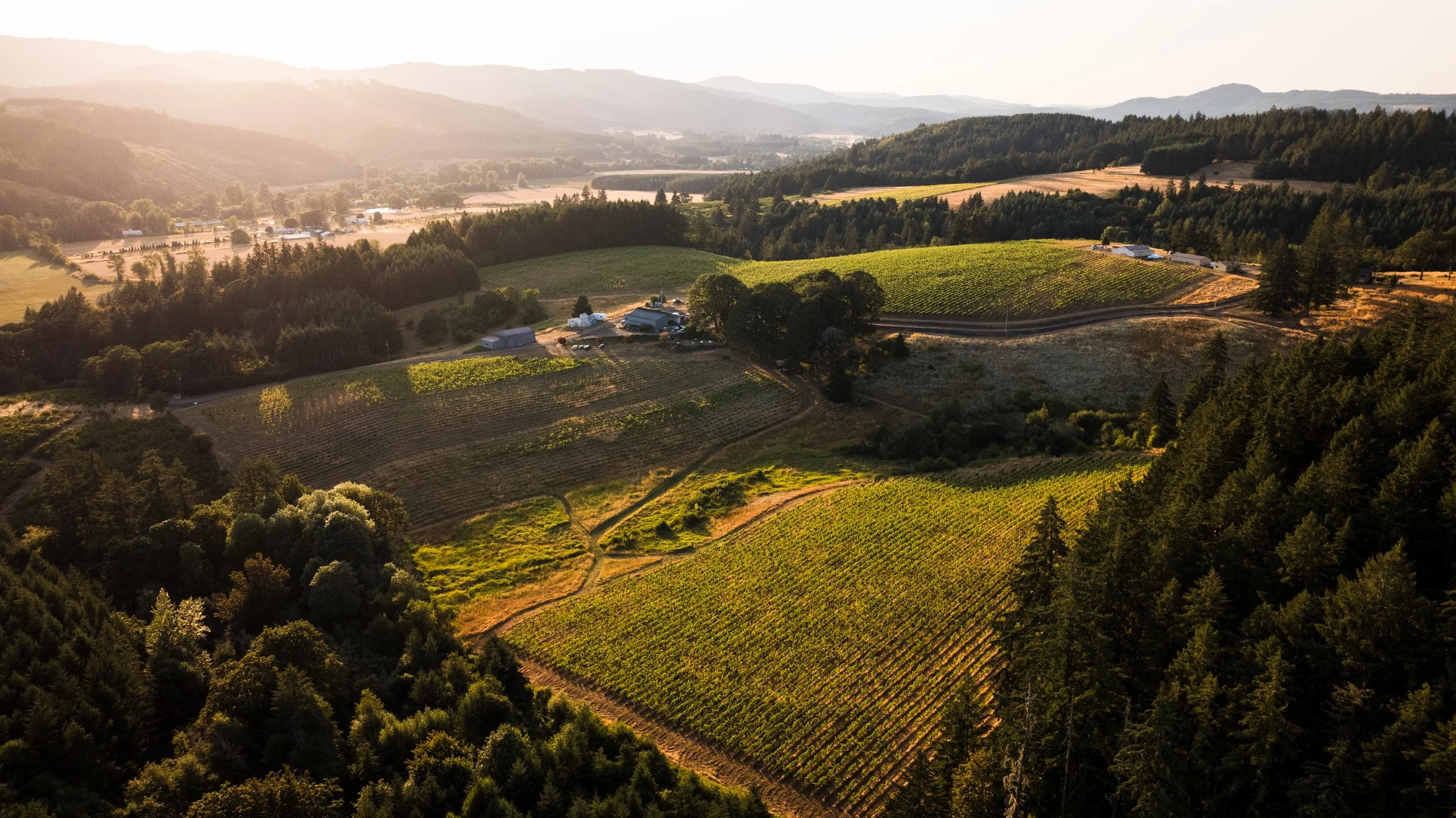 DJI_0957.jpg