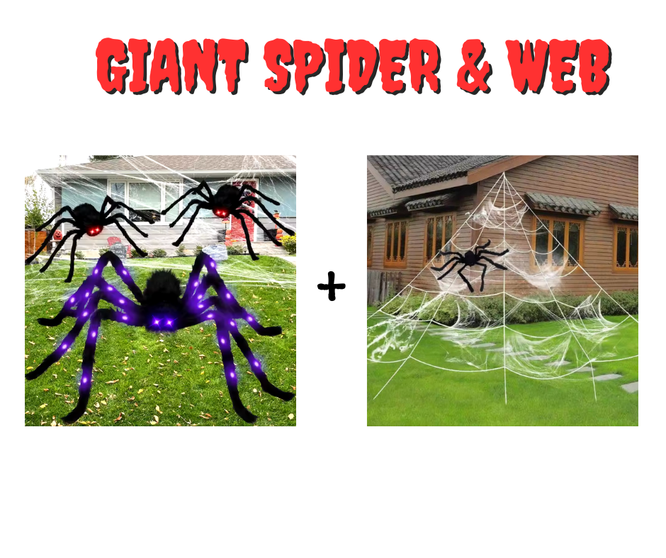 Web and spider.png