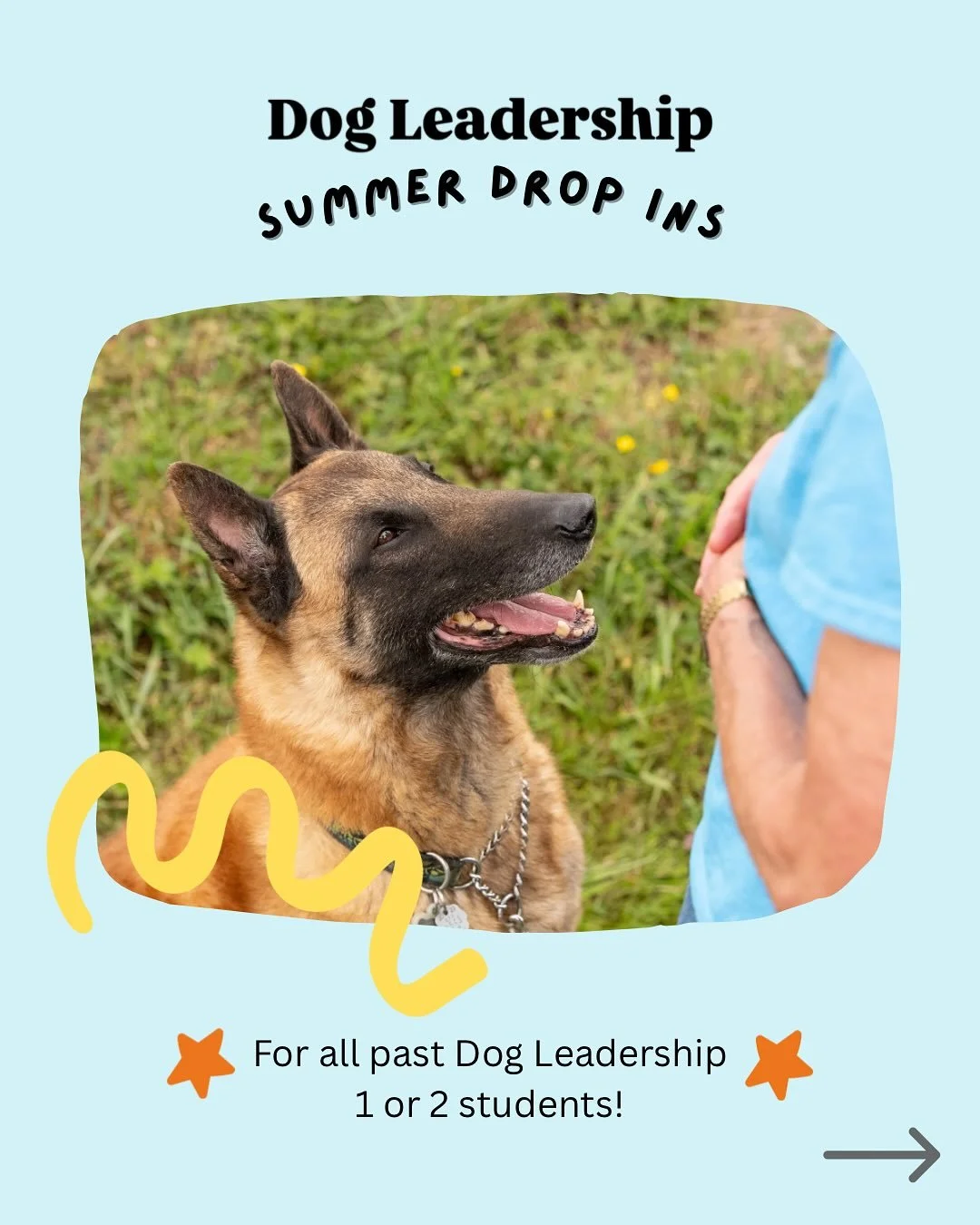 Did you hear?

We&rsquo;re putting on some drop in classes for Dog Leadership students!

Whether you&rsquo;ve completed level 1 and are waiting for the fall session of level 2, or you&rsquo;ve done level 2 and want to keep your skills sharp&hellip; t