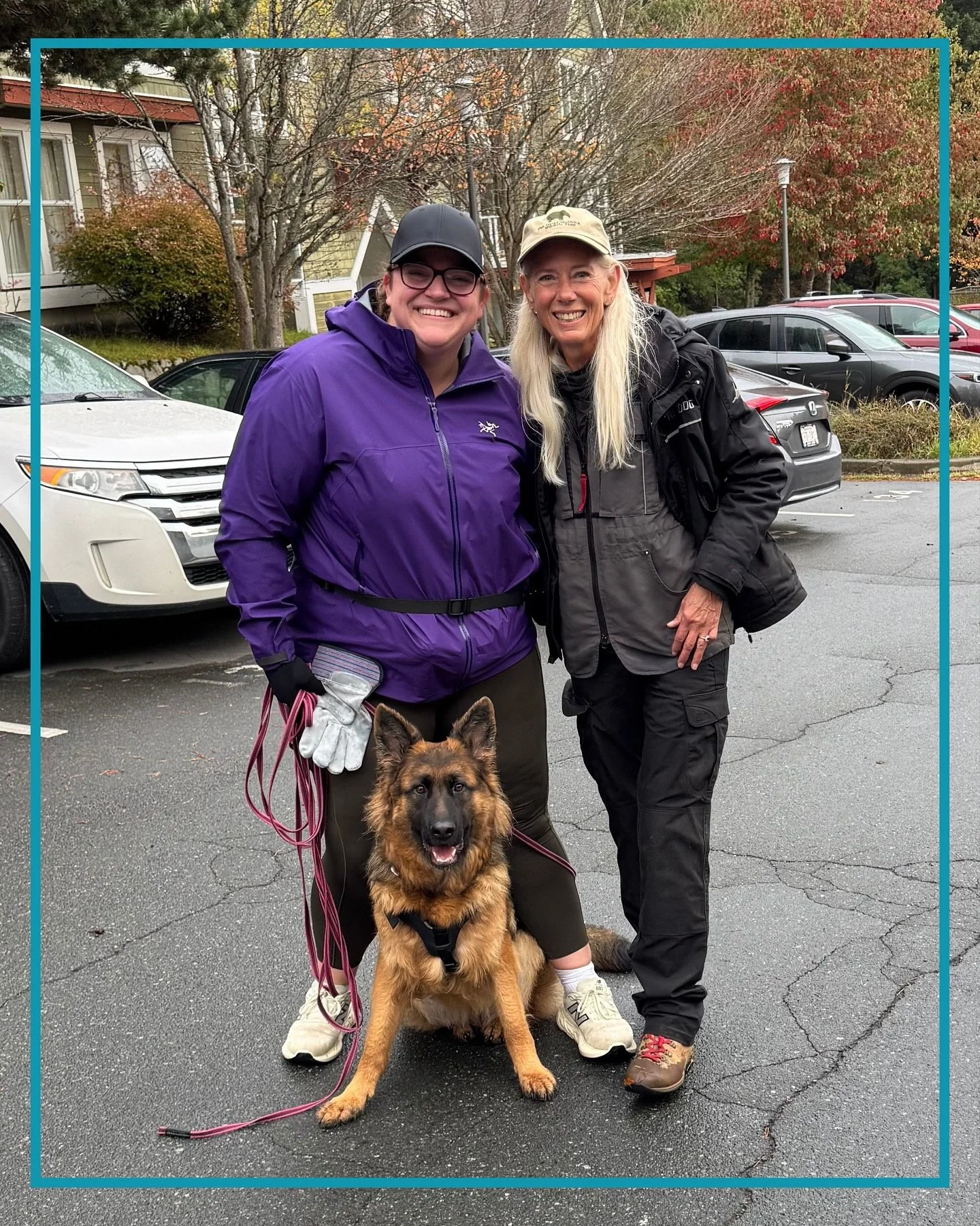 Big congrats to team Piper and two of our K9 Leadership Team (well, 3! 🐾) for their achievements last weekend!

The teams made the trek over to the island to enter their UTDs, and for Shelley, to complete an assignment for her apprenticeship to beco