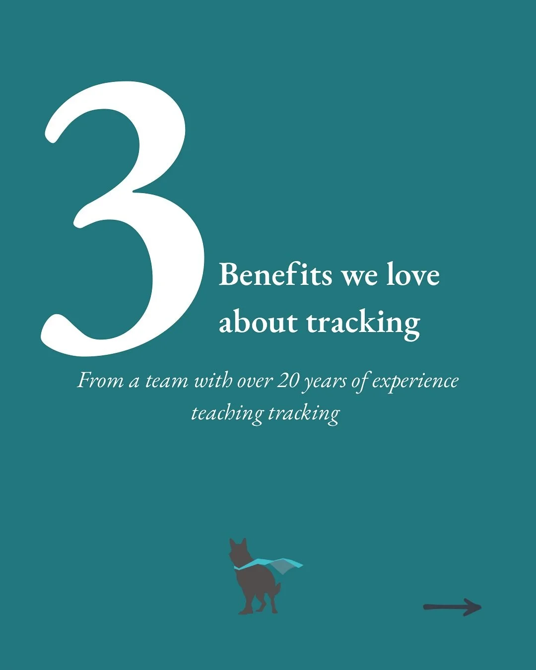 Why do we love tracking so much? There are so many reasons, but we&rsquo;ll start with these three!

Tracking with your dog:
1) Improves confidence
2) Provides an outlet for drive and energy
3) Strengthens your bond

And those are just the first few 