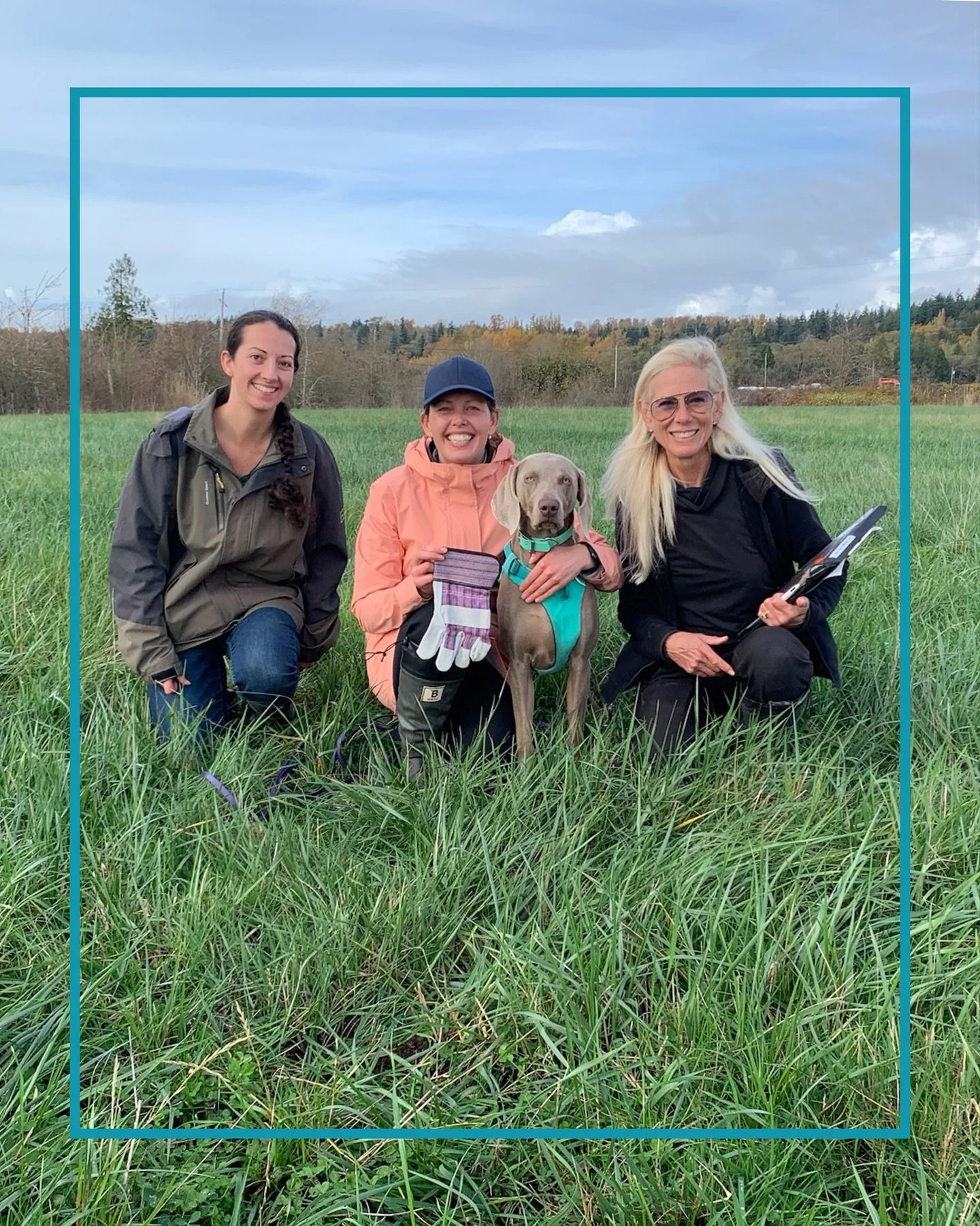 Some snaps from the recent Great Dane Tracking Trial!
What a great day it was with lots of successes! 

Head to our Facebook to get the whole recap 🏅🐾