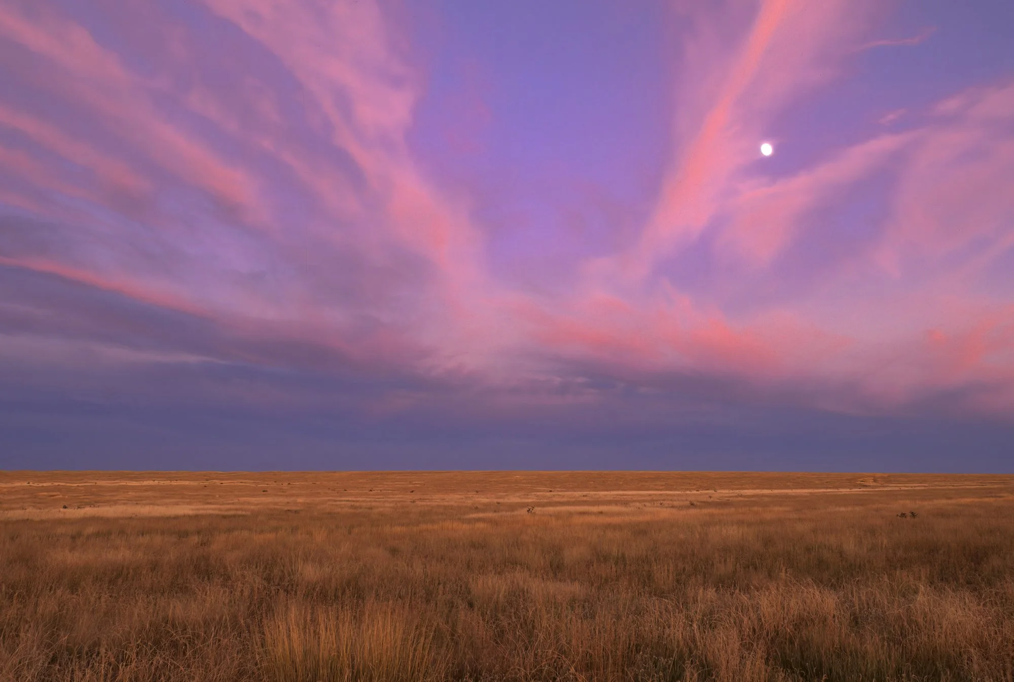 Moonrise in Sunset Vaughn-Edit.jpg