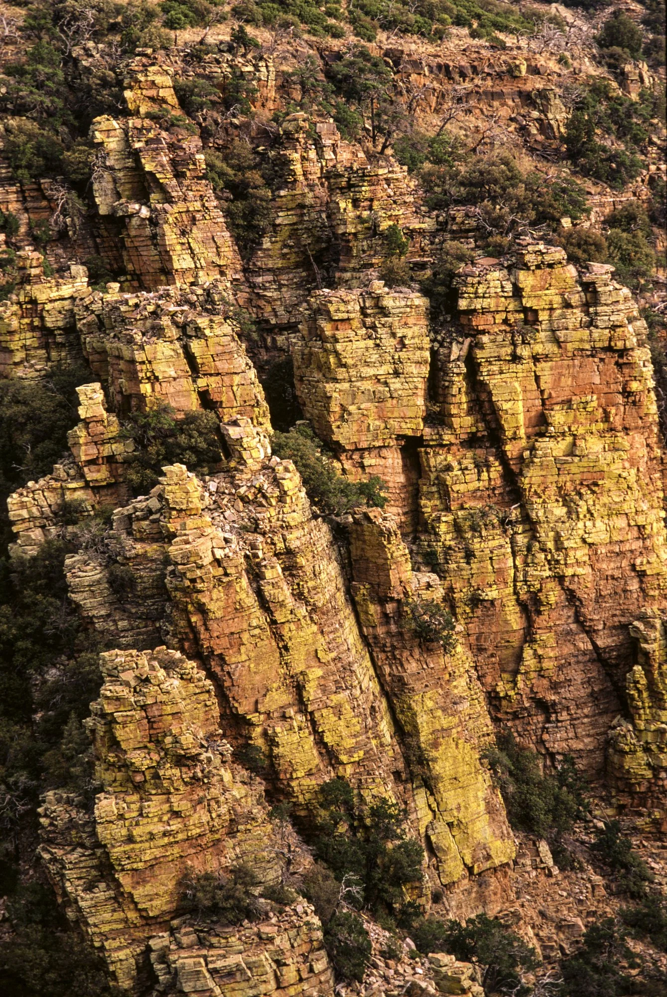 Madera Canyon 2.jpg