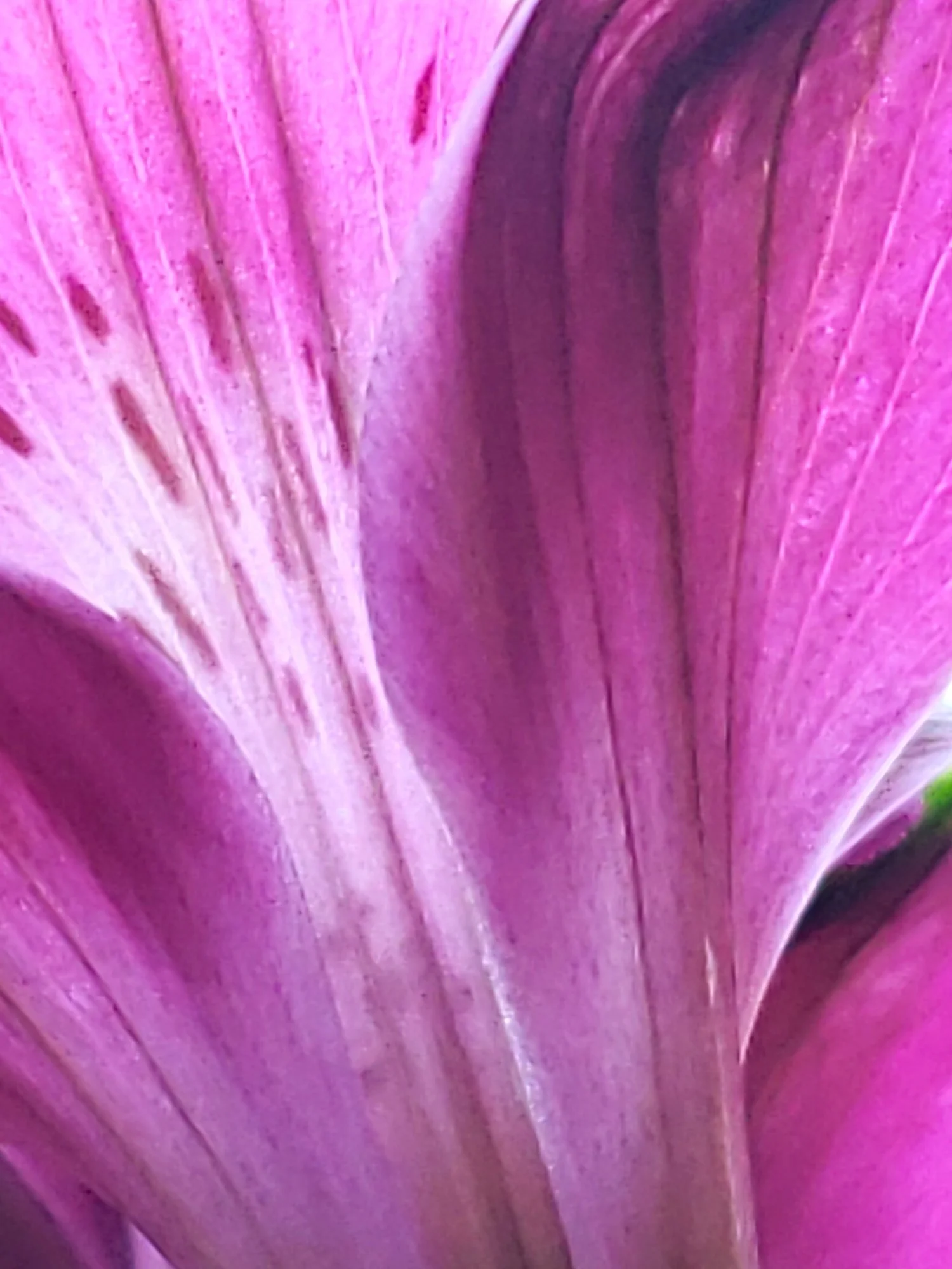 20180711_091321.jpg