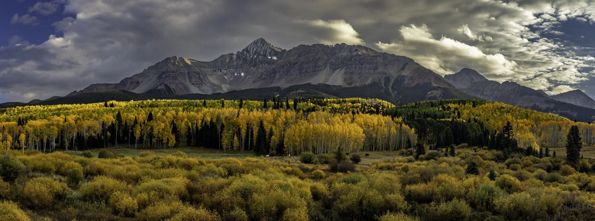 EB5A7439-Pano.jpg