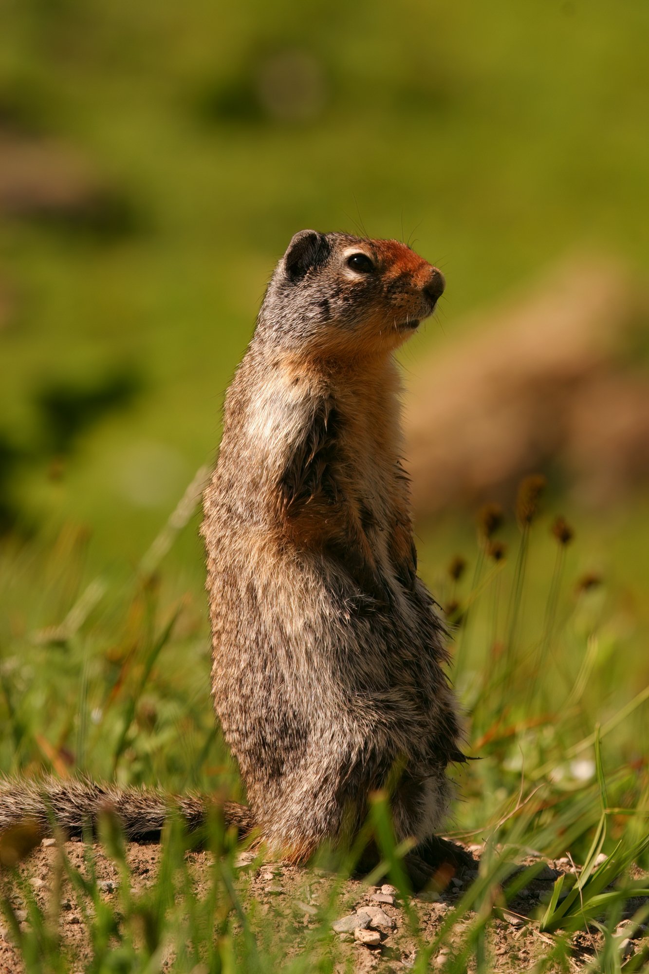 IMG_7131-Edit.jpg