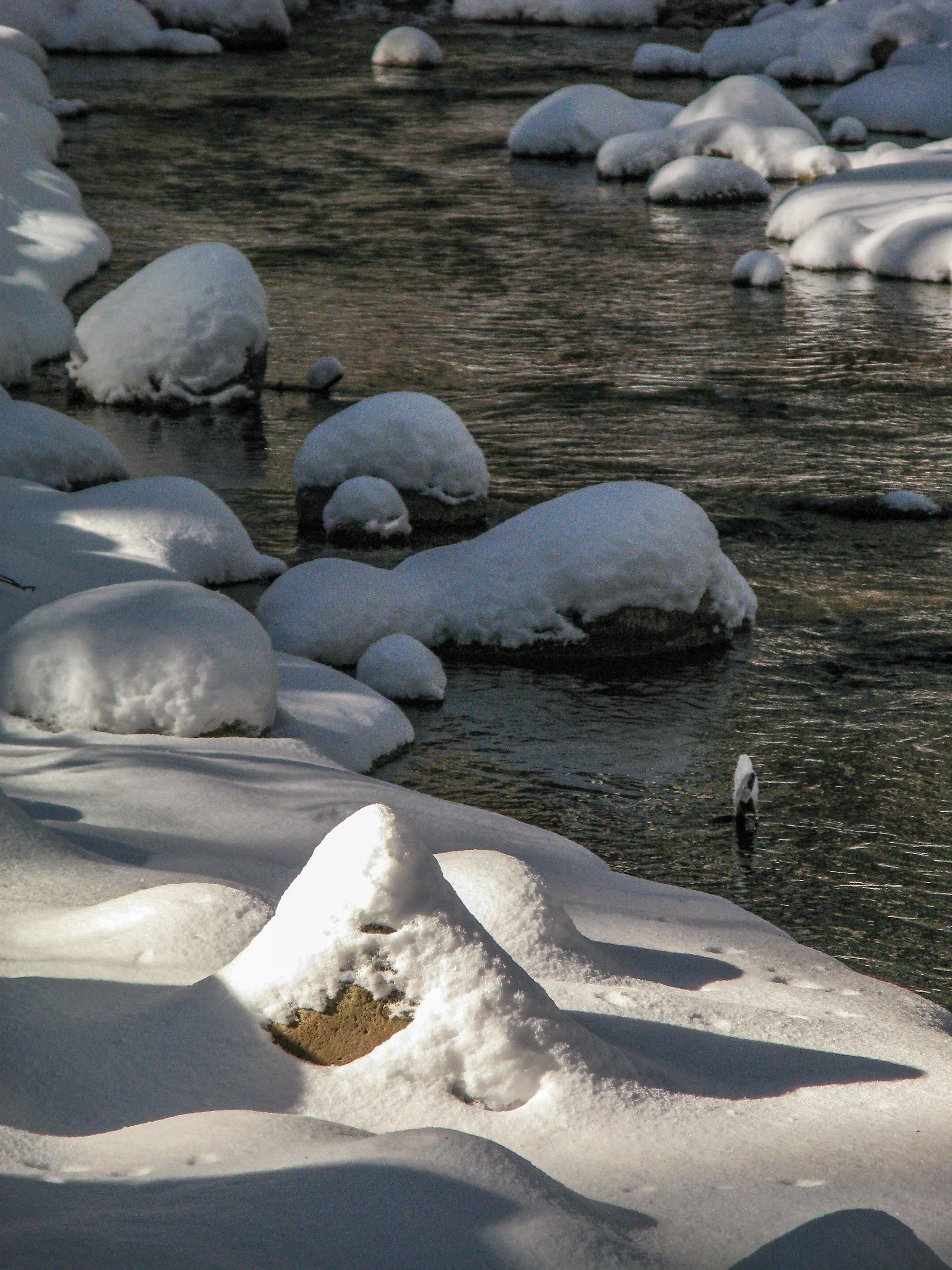 IMG_6268.jpg