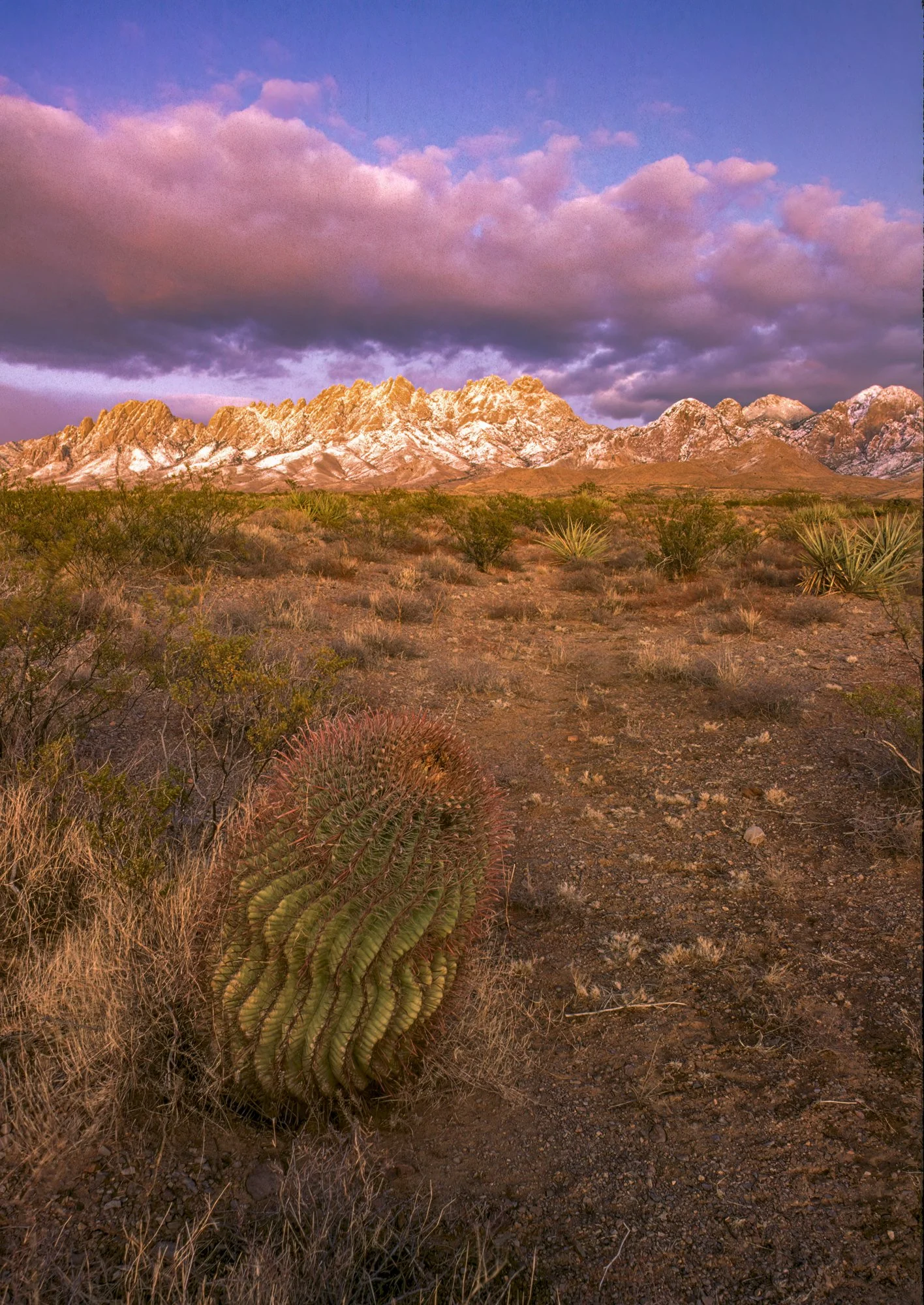 Organ Mountains and Barrel Cactus-Edit.jpg