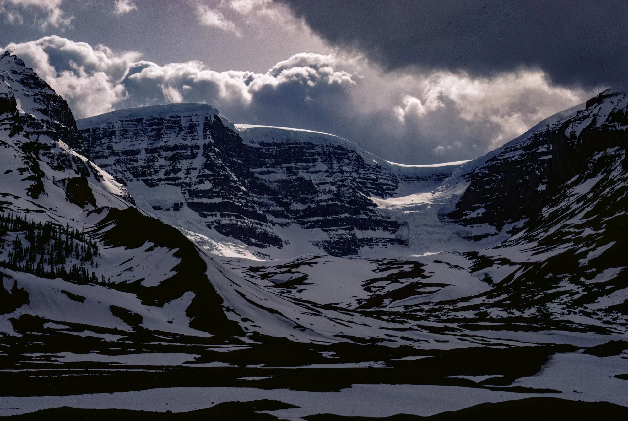 Columia Ice Fields-Edit.jpg