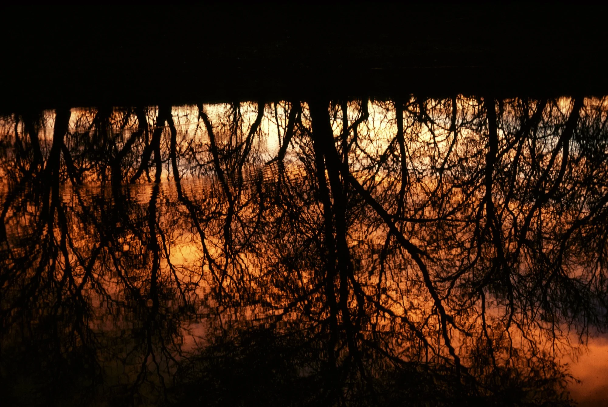 Sunset in Tinnie Pond.jpg