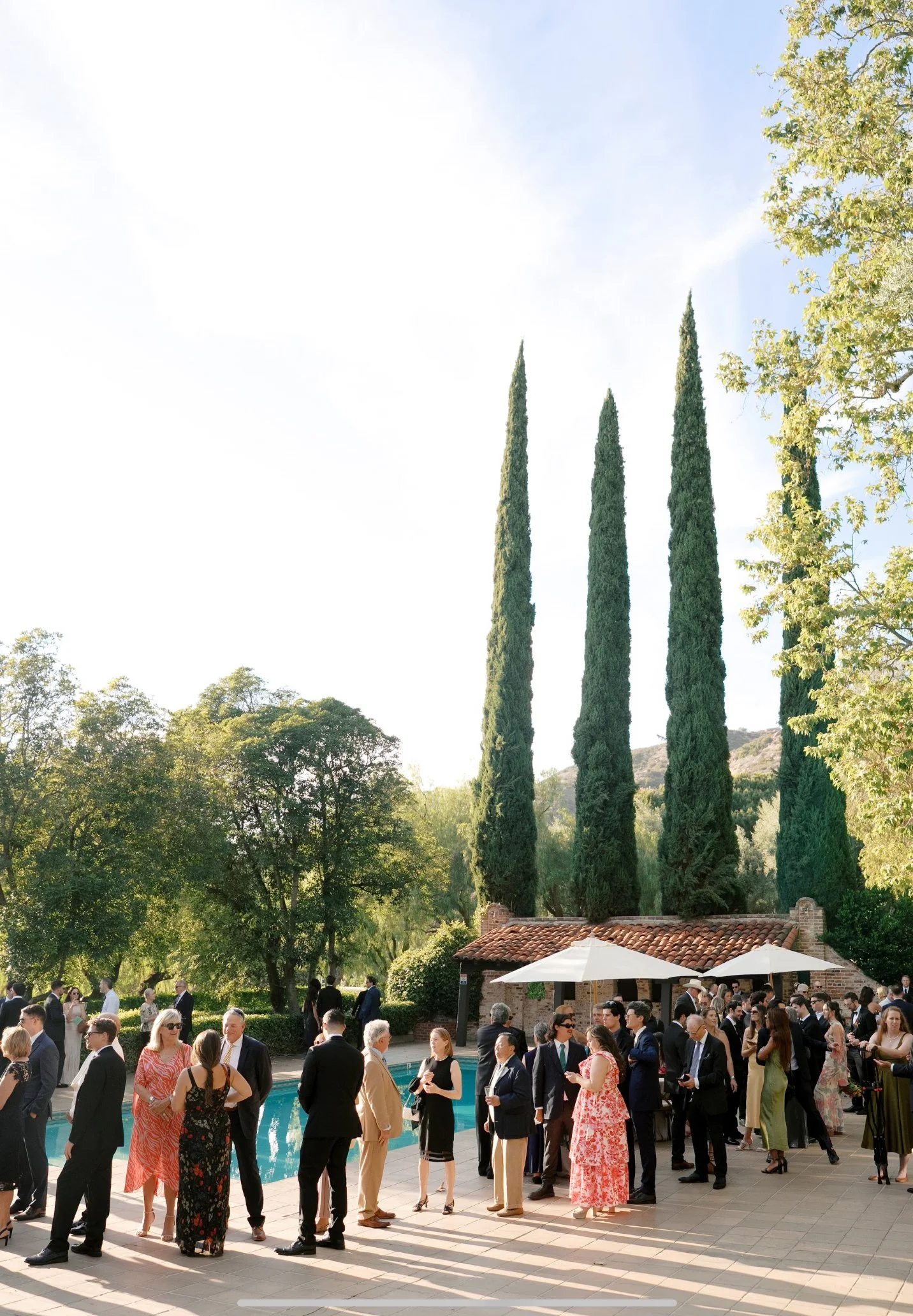 A group of people dressed in formal attire socializing outdoors by a swimming pool, with tall cypress trees, greenery, and a building with a tiled roof in the background.