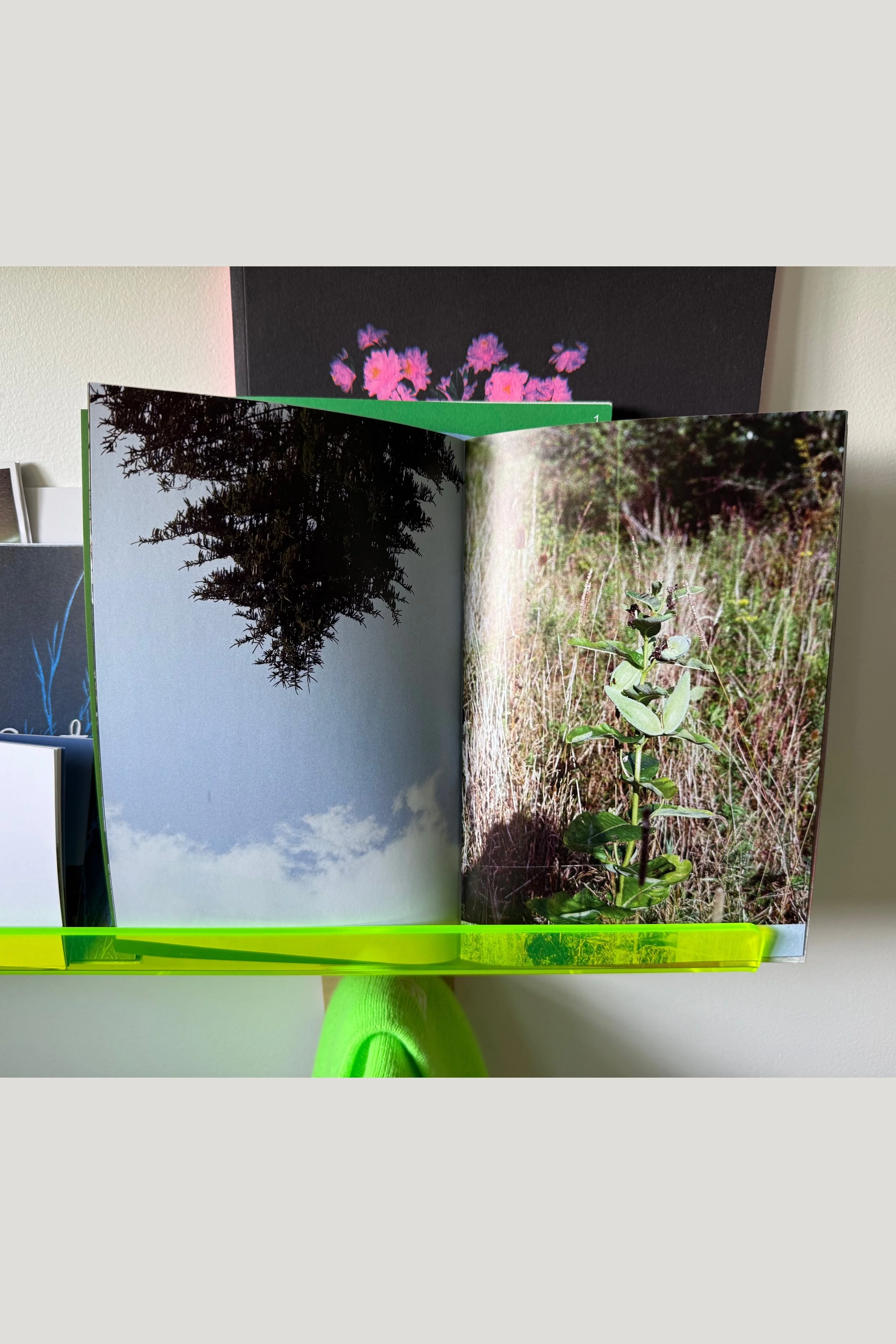 photo-output 2.jpg