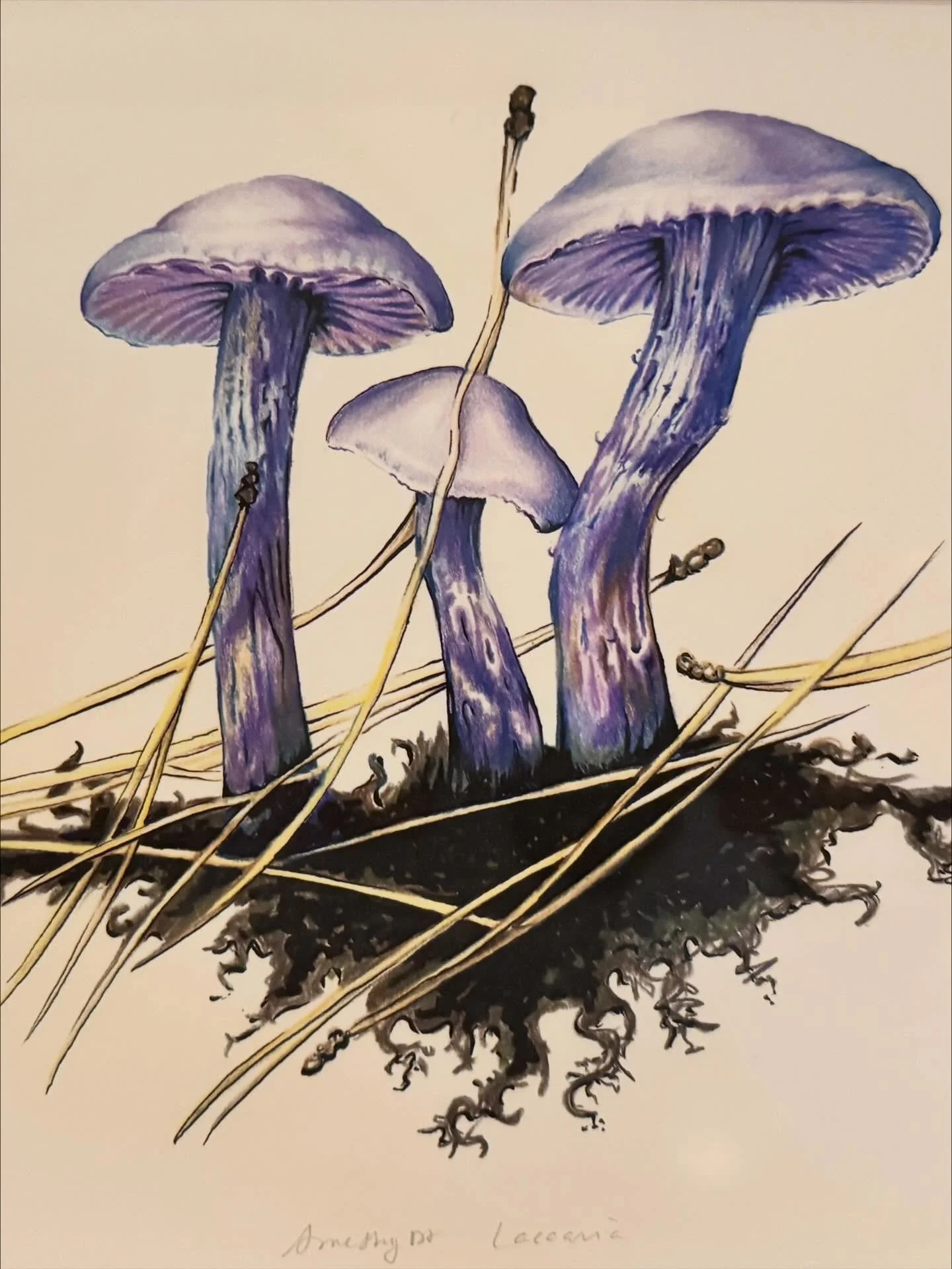 Just purchased this beauty @thelocolwestseattle from @wurstillustrations . She has some serious illustration chops and some real emotional depth to these. I love them, and way to affordable.