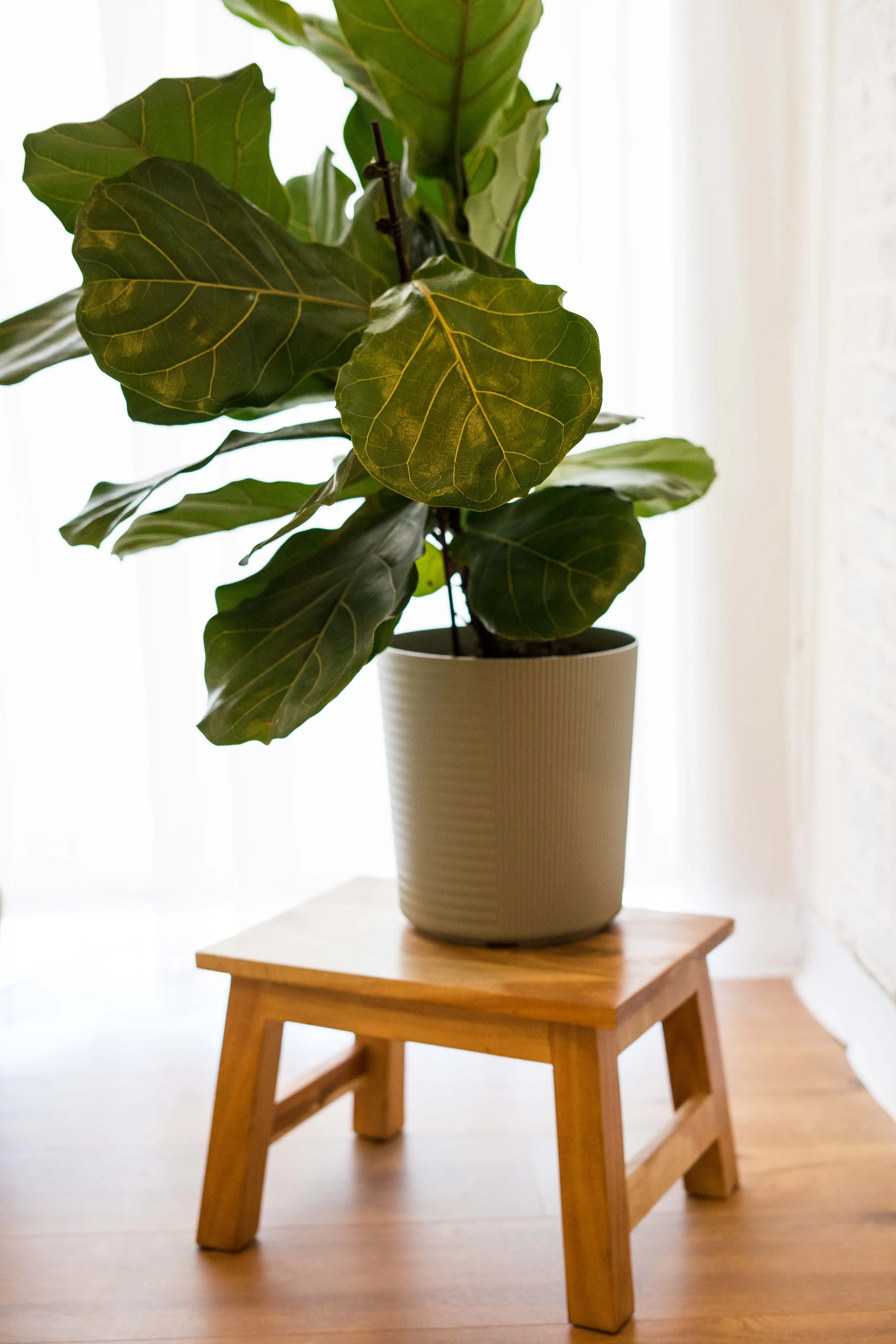 Studio on Main Cedar City-14.JPG