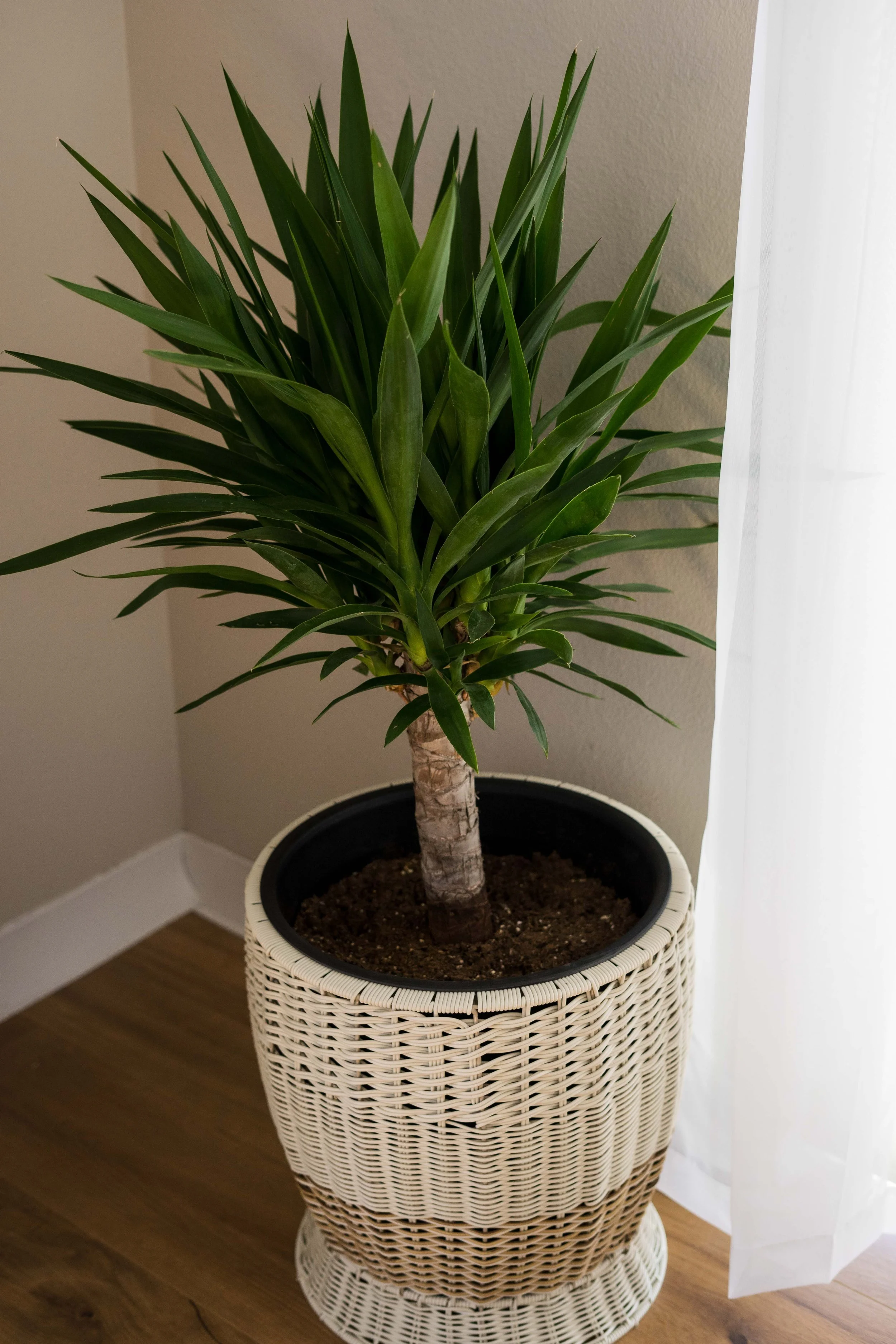 Studio on Main Cedar City-4.JPG