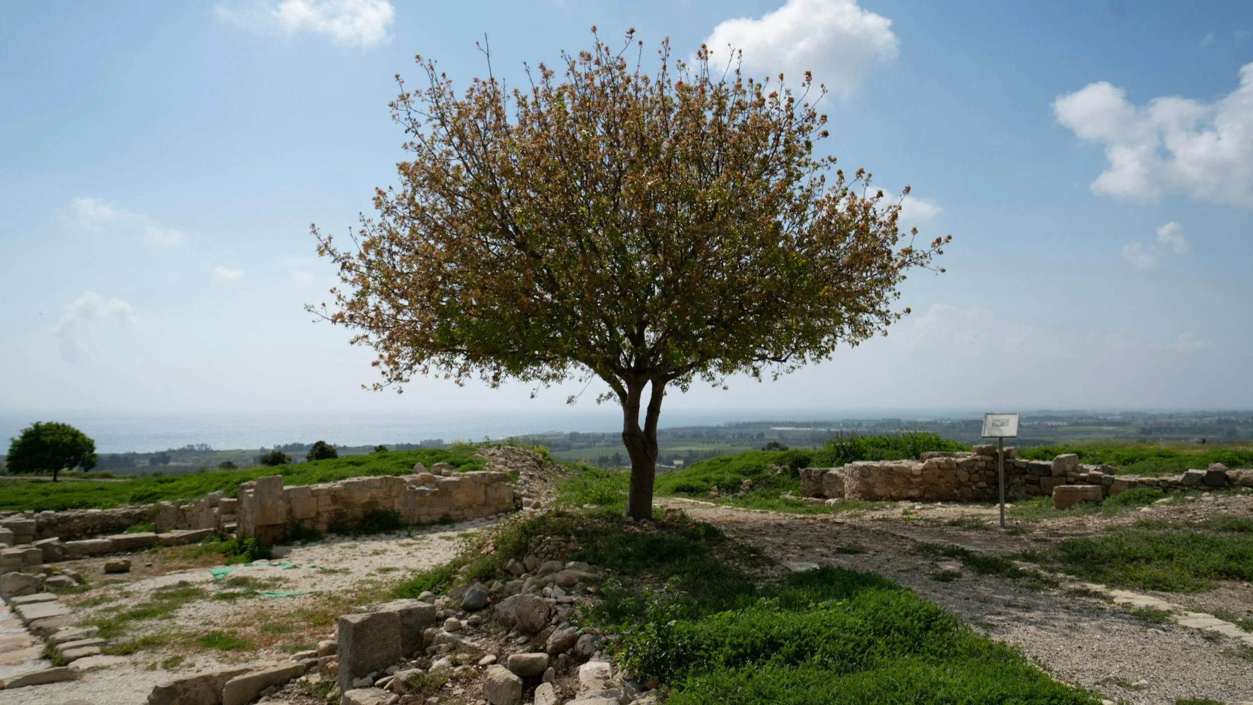 Gezer Calendar: Ancient Israel’s Agricultural Legacy