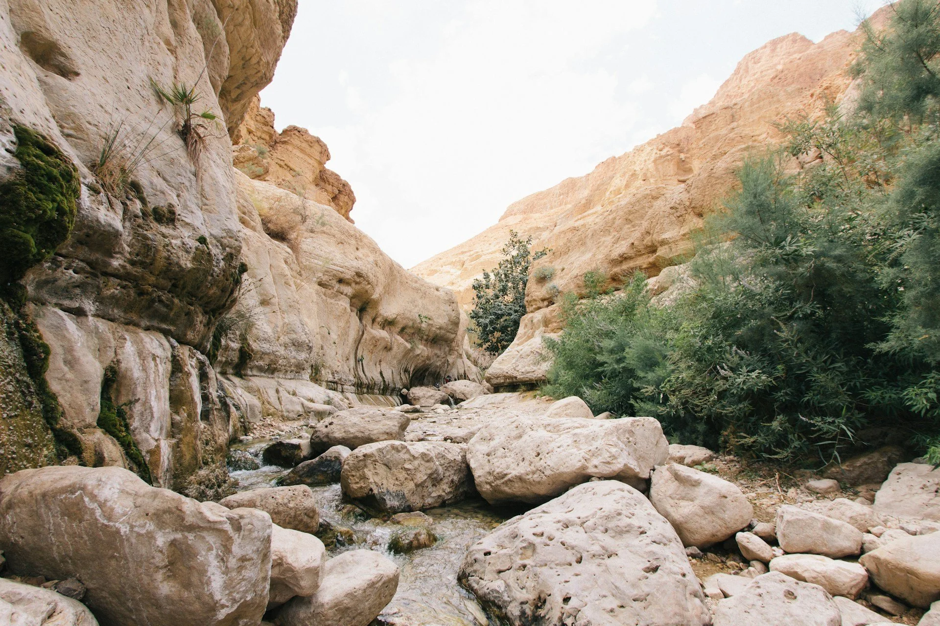 A narrow desert canyon with large rocks and sparse green bushes on the rocky walls.