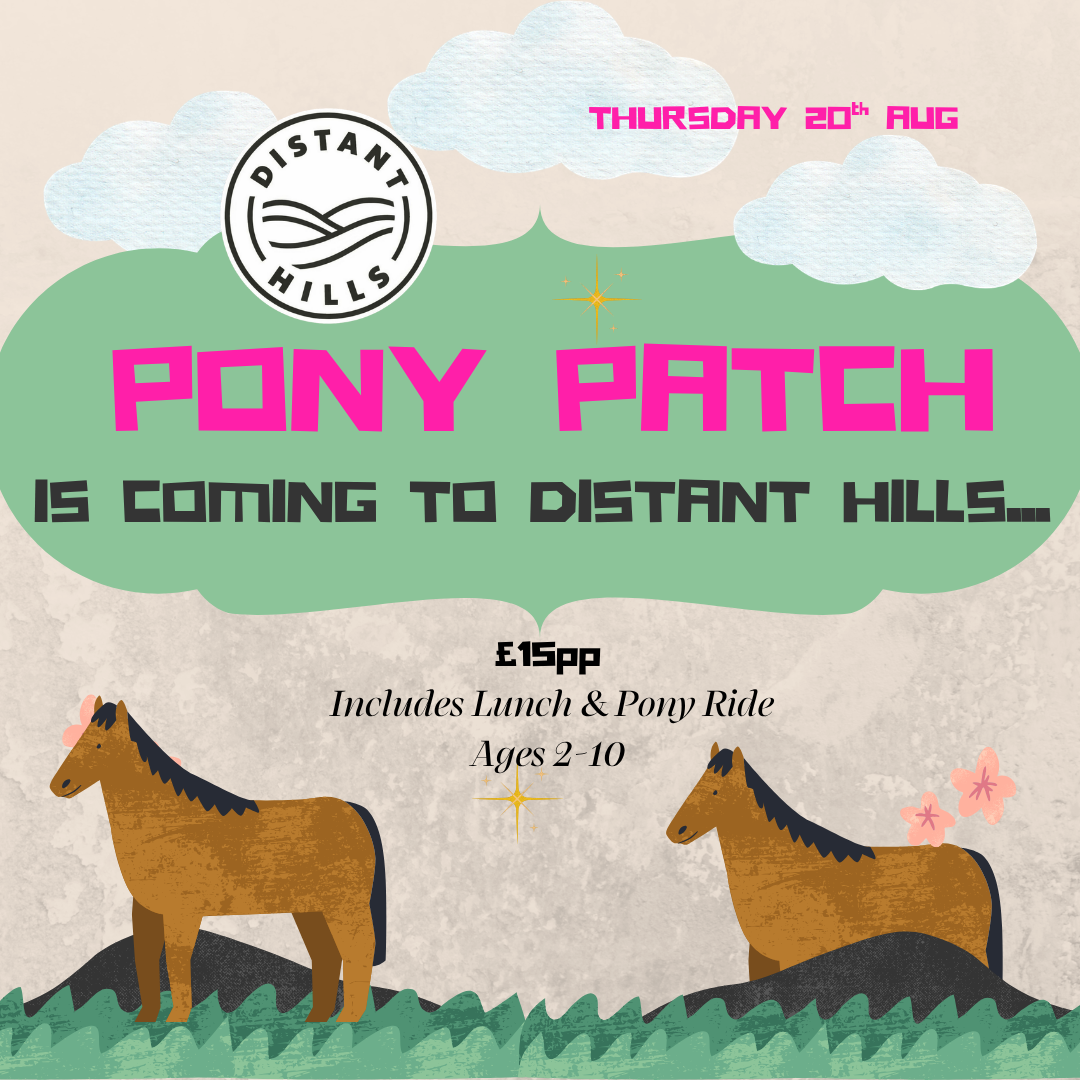 PONY PATCH IS COMING TO DISTANT HILLS!