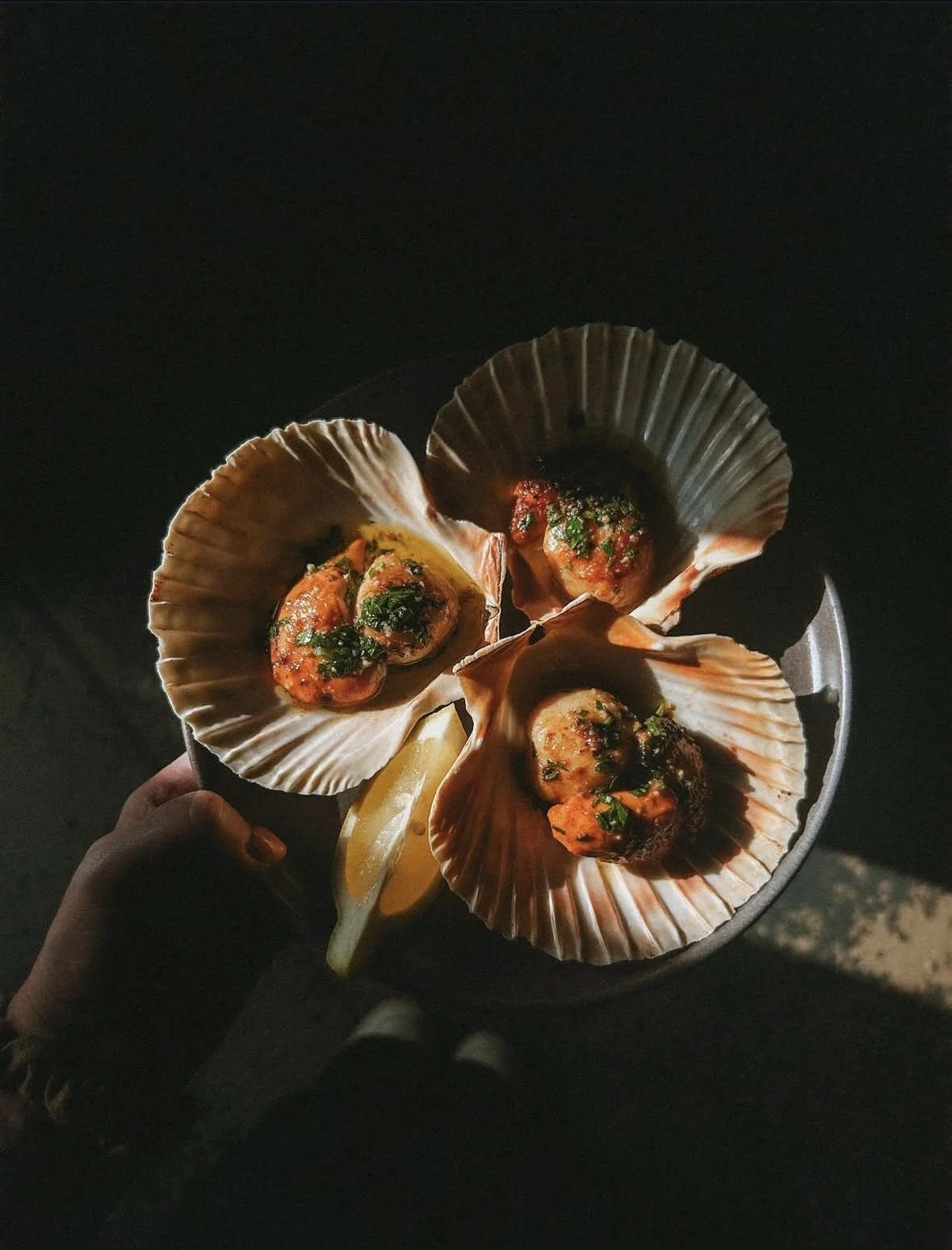 Scallops.jpg