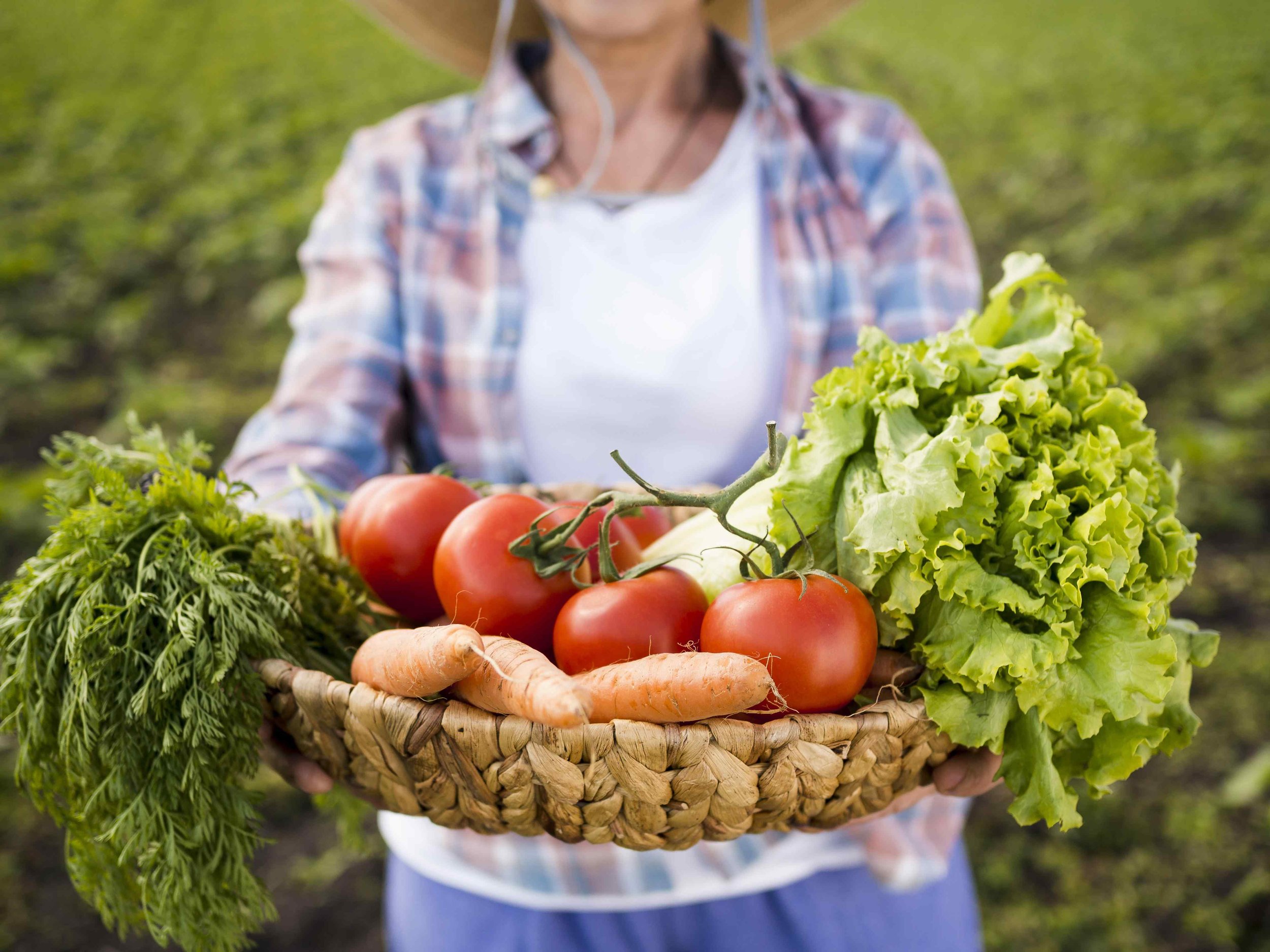 fresh produce from baguio