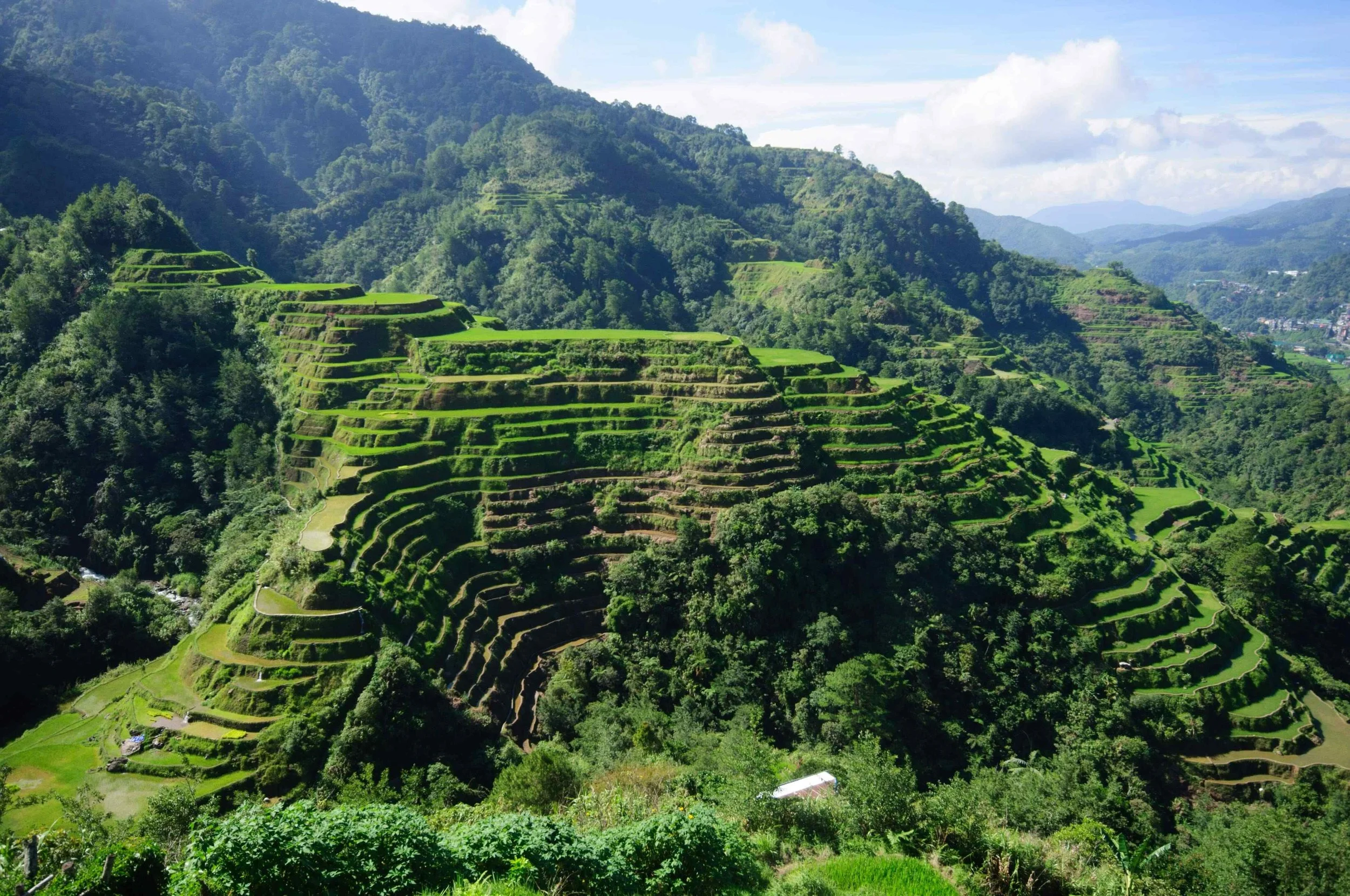 Banaue Rice Terraces.jpg