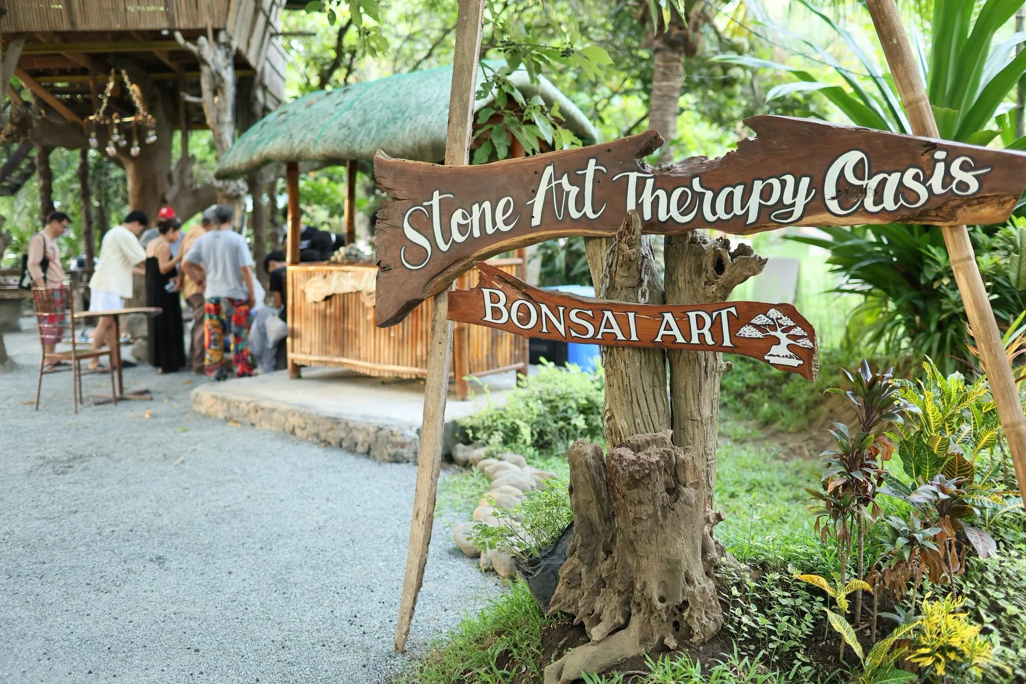 paraiso de avedad bonsai art
