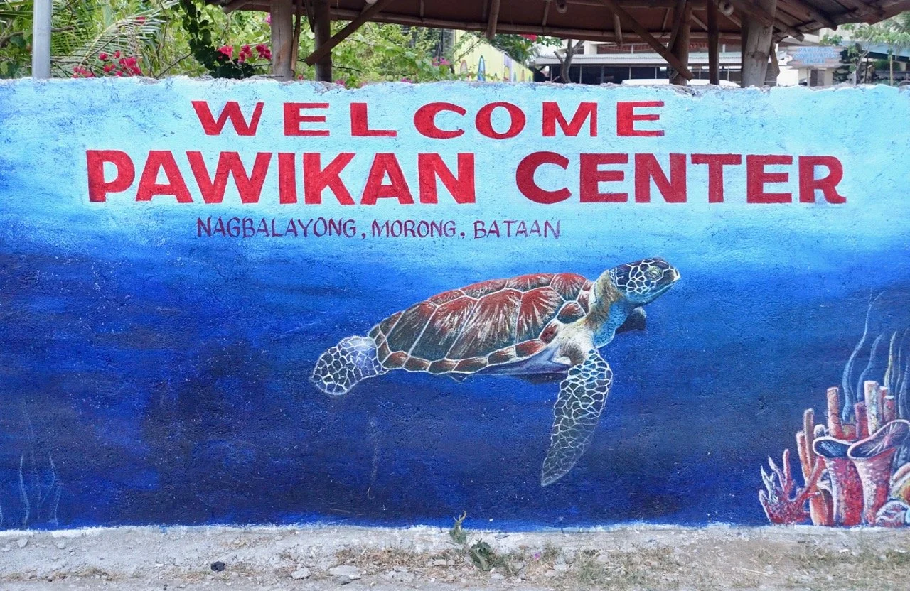 Pawikan Conservation Center