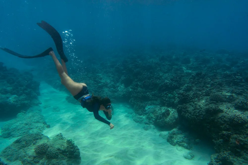 Snorkeling at the Pink Beach
