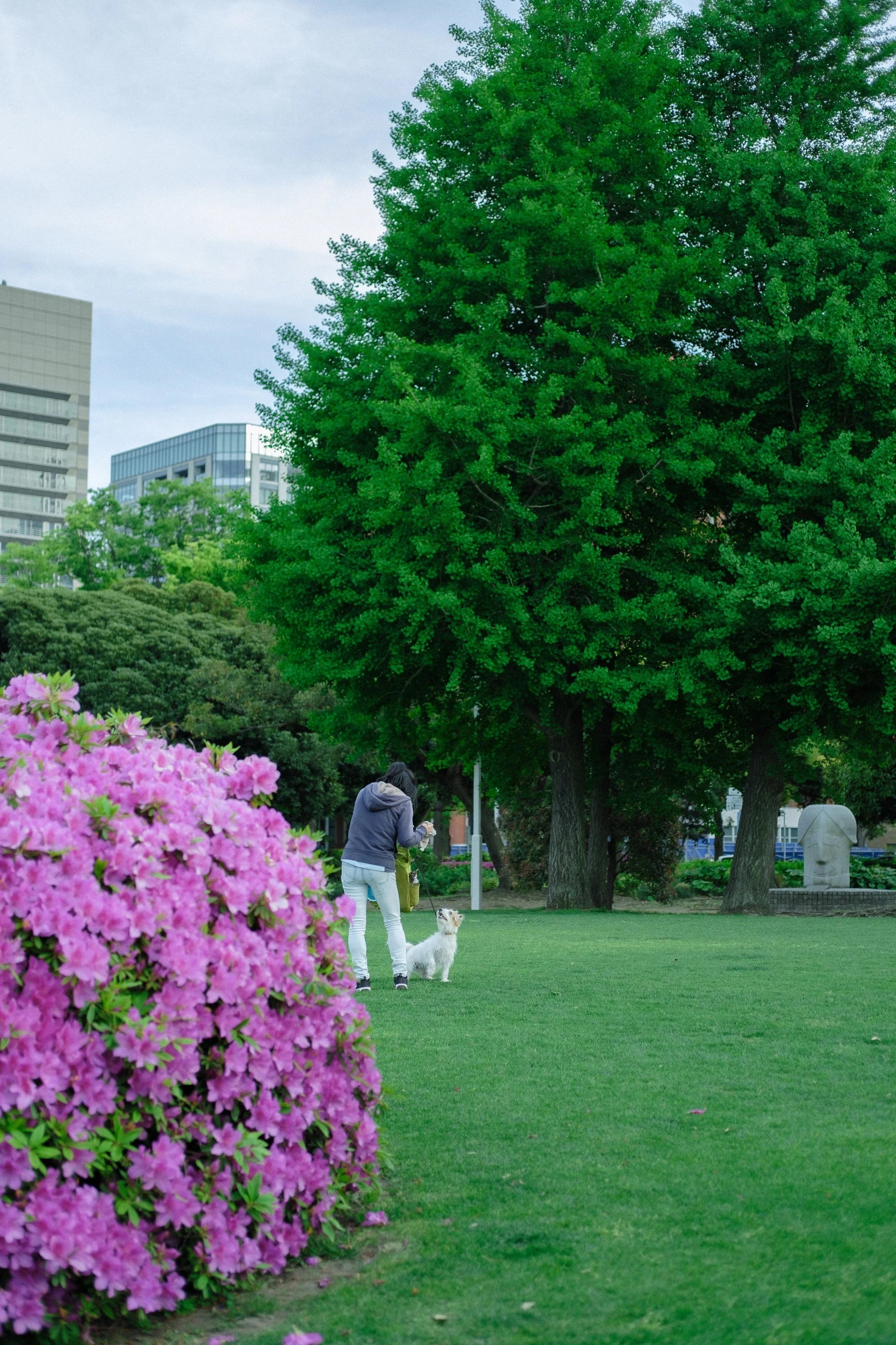 DSCF8200.jpg