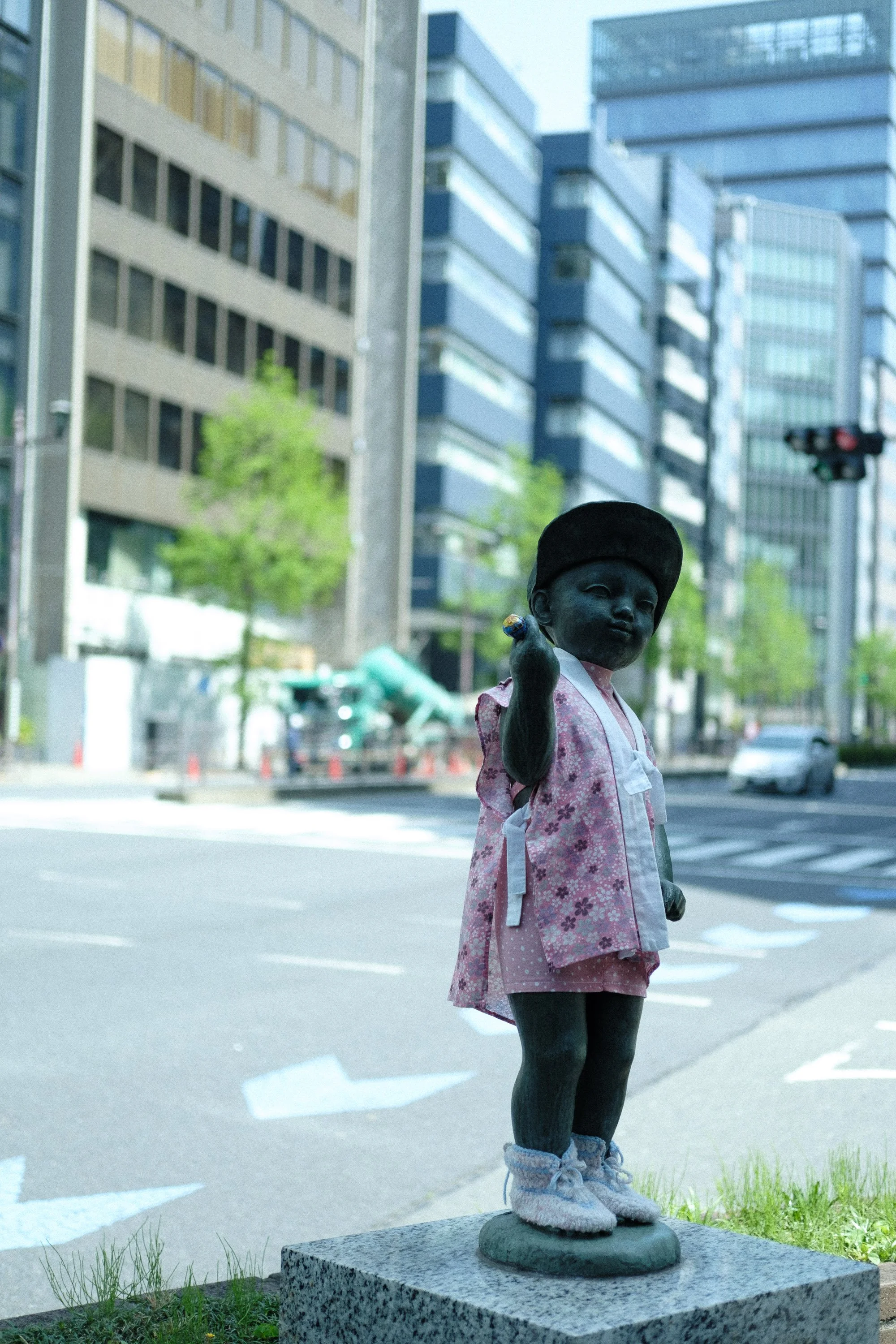 DSCF8001.jpg