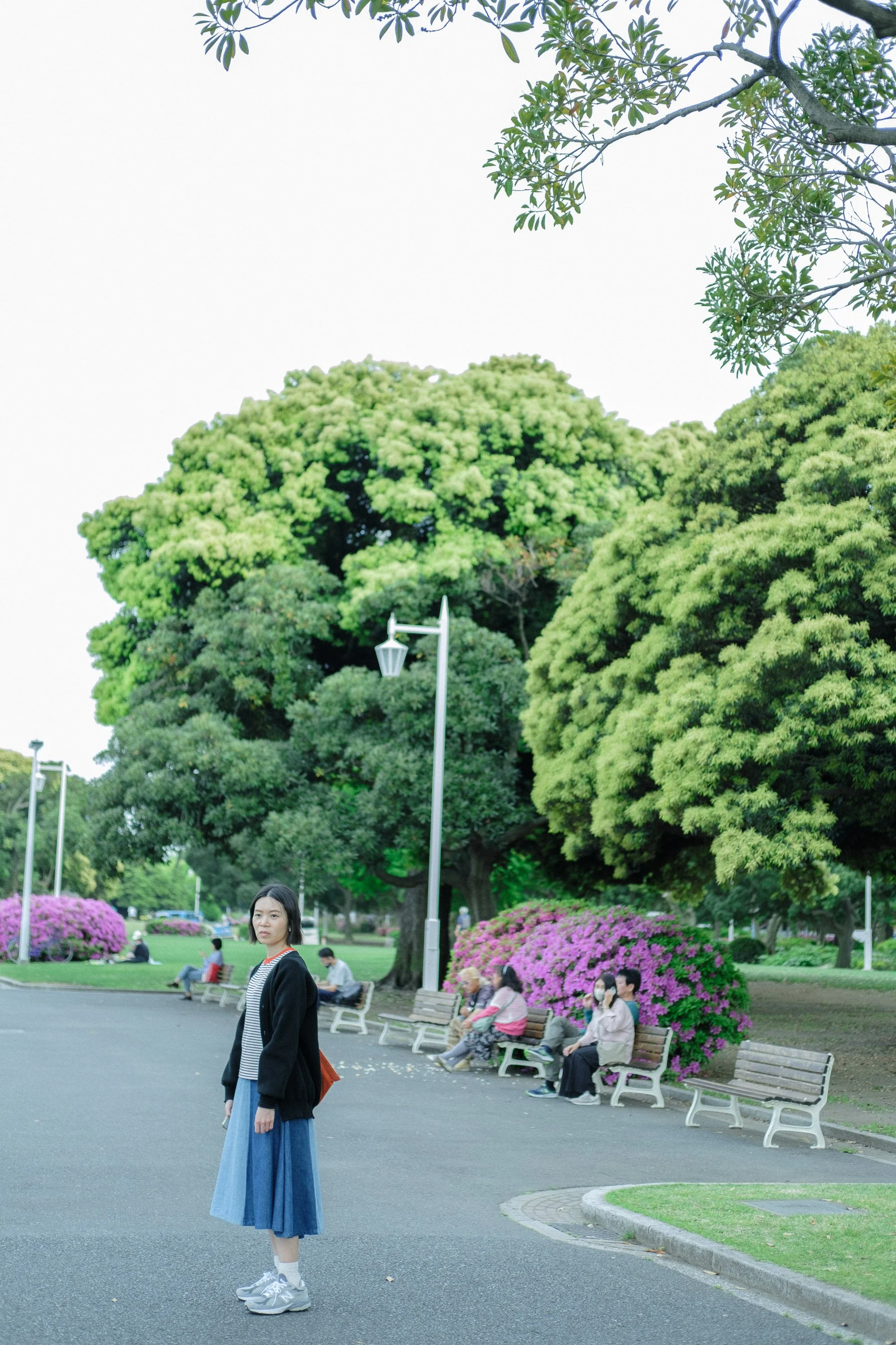 DSCF8197.jpg