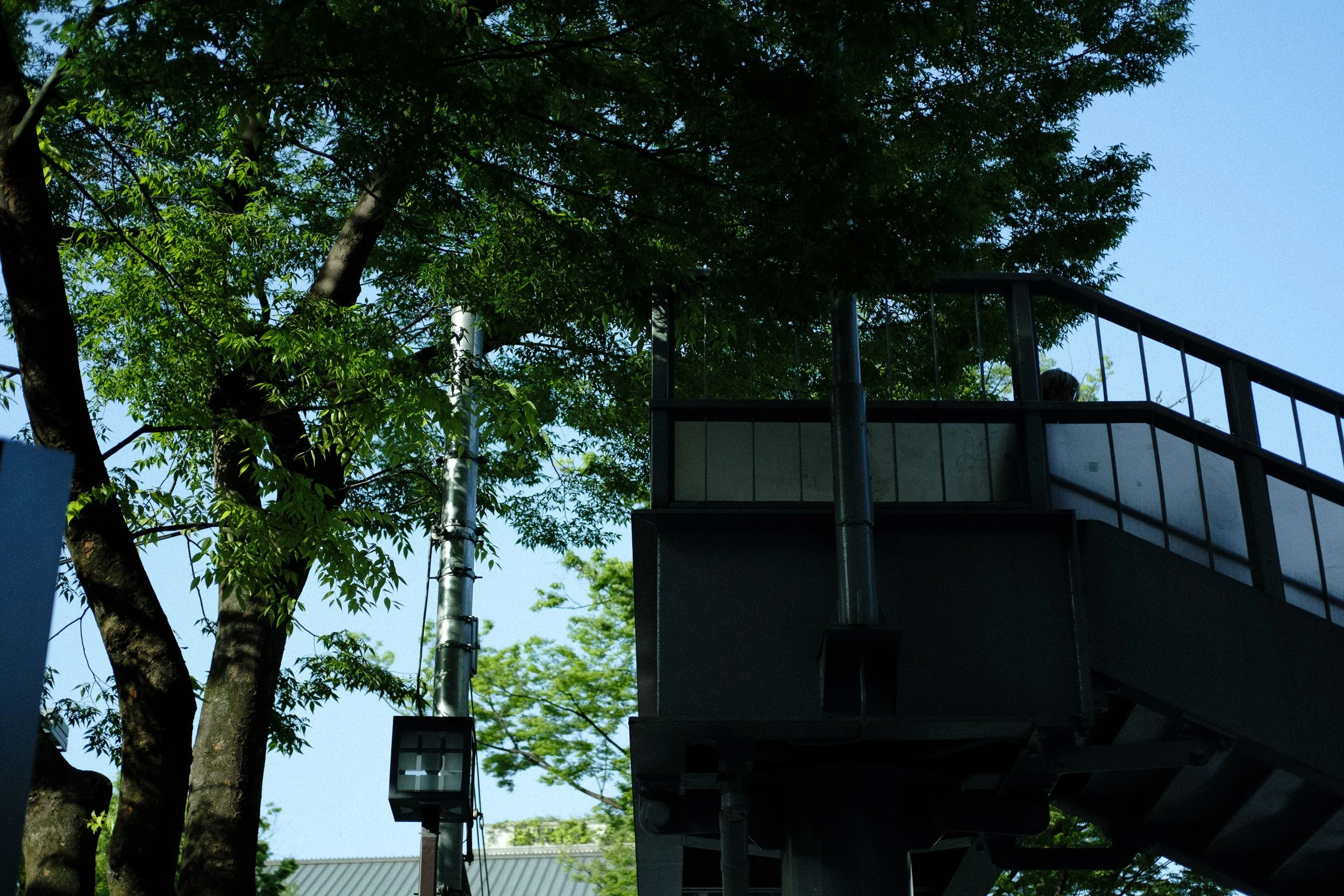 DSCF8130.jpg