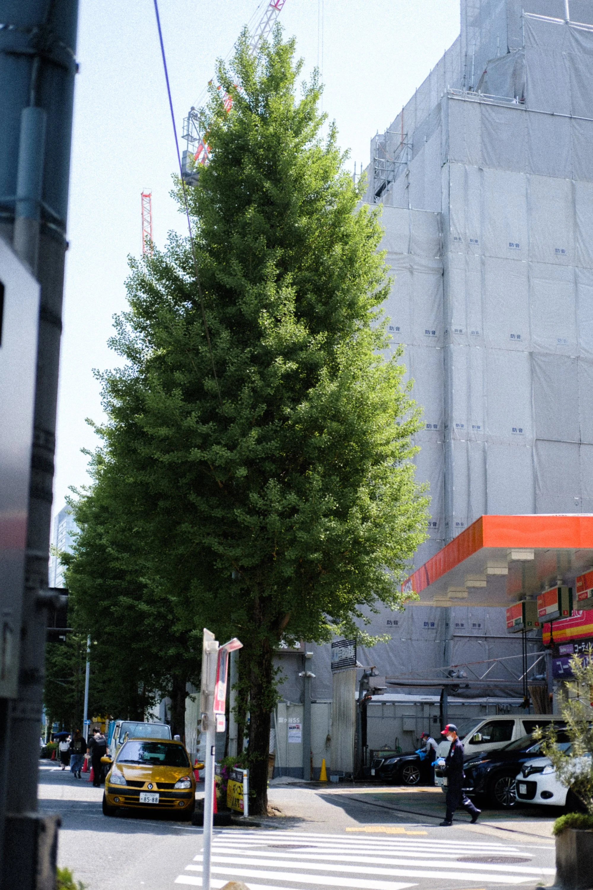 DSCF8043.jpg