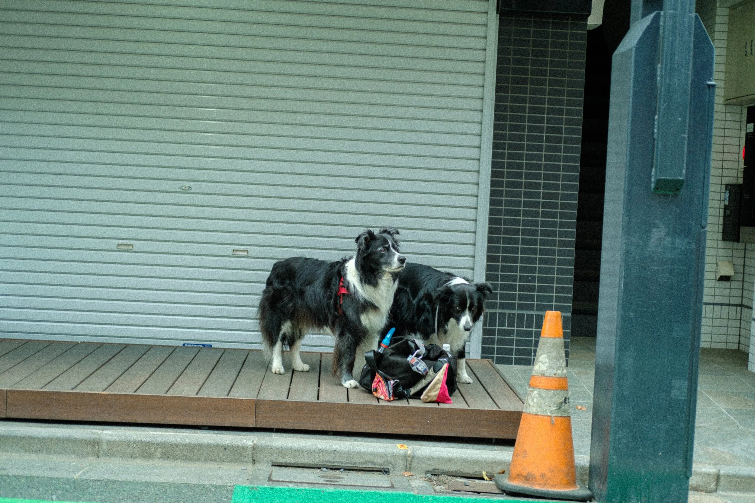 DSCF8349.jpg
