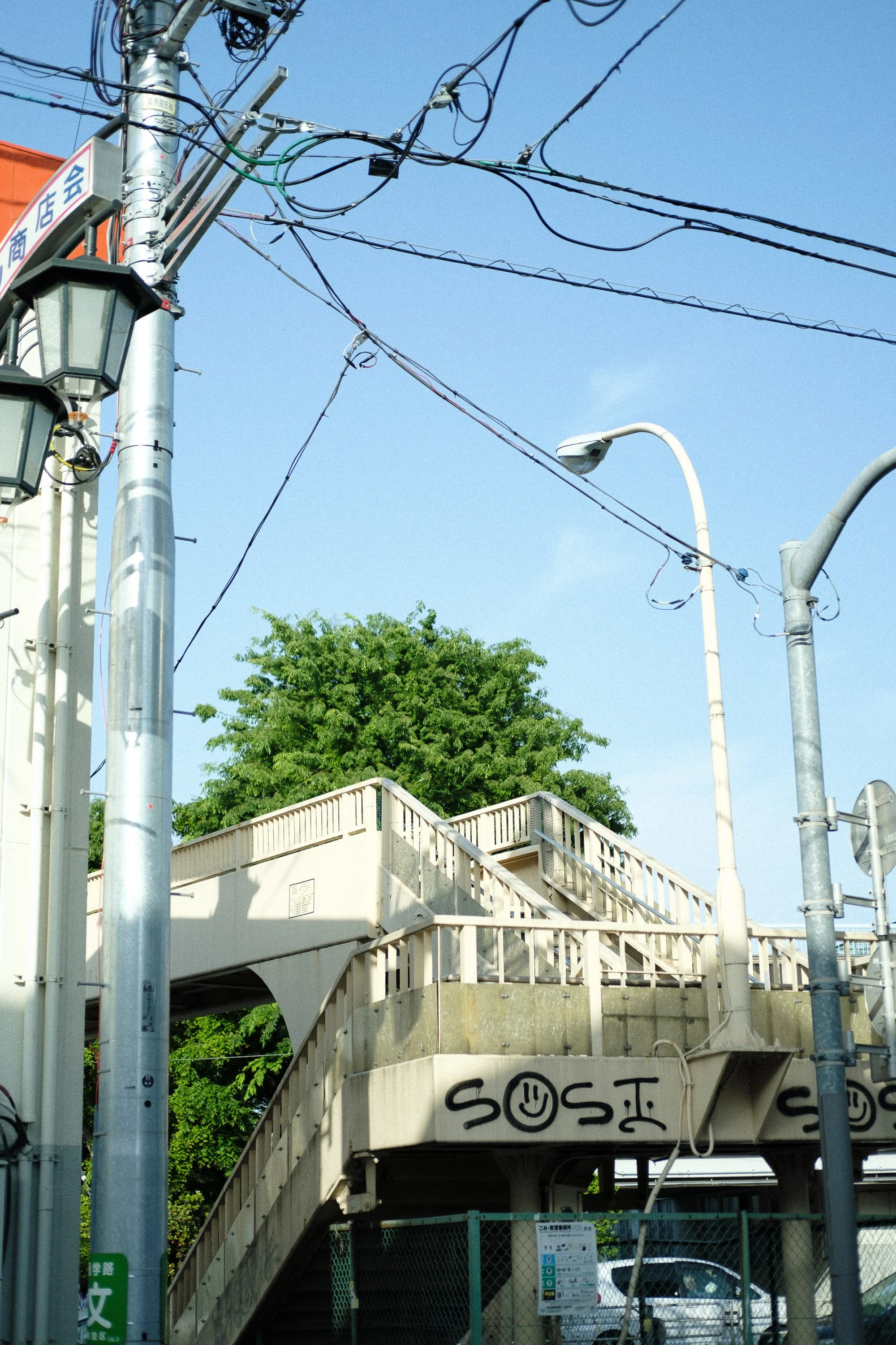 DSCF8568.jpg