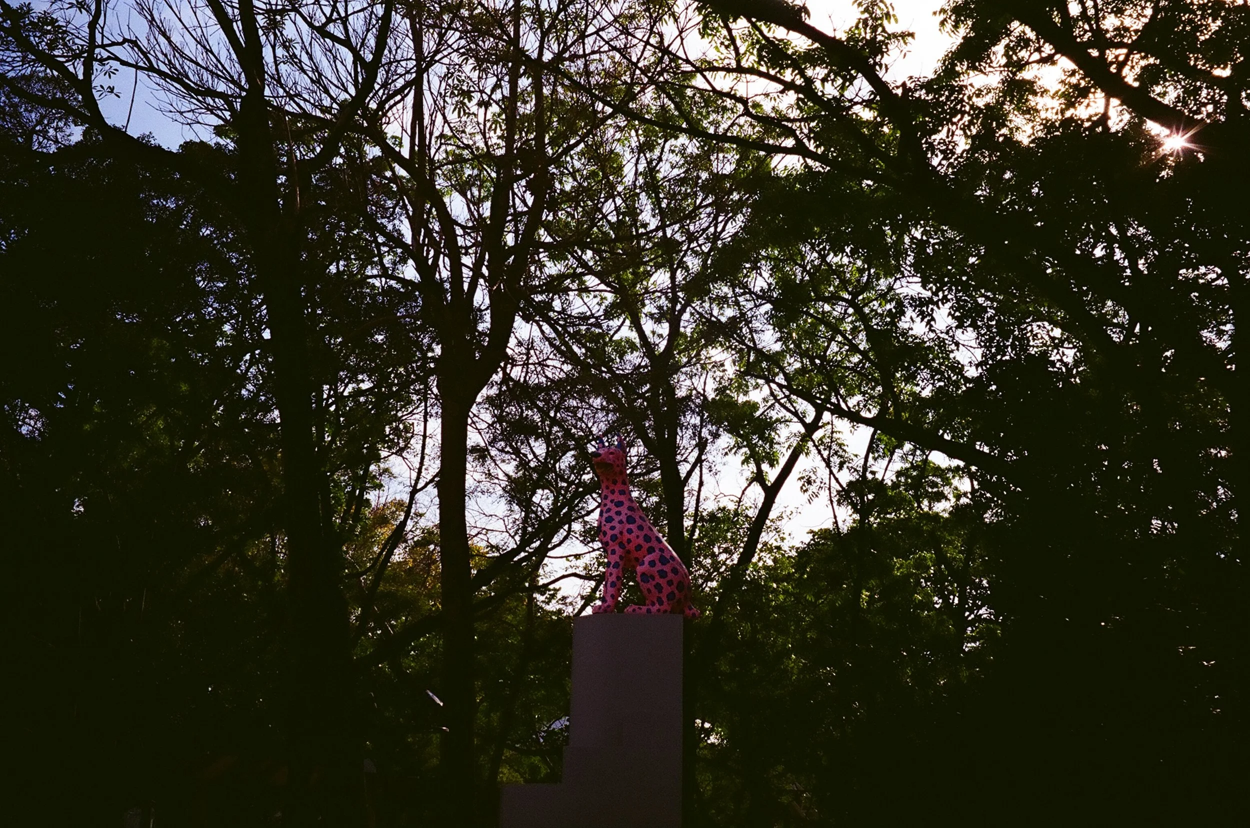 001577300021.jpg