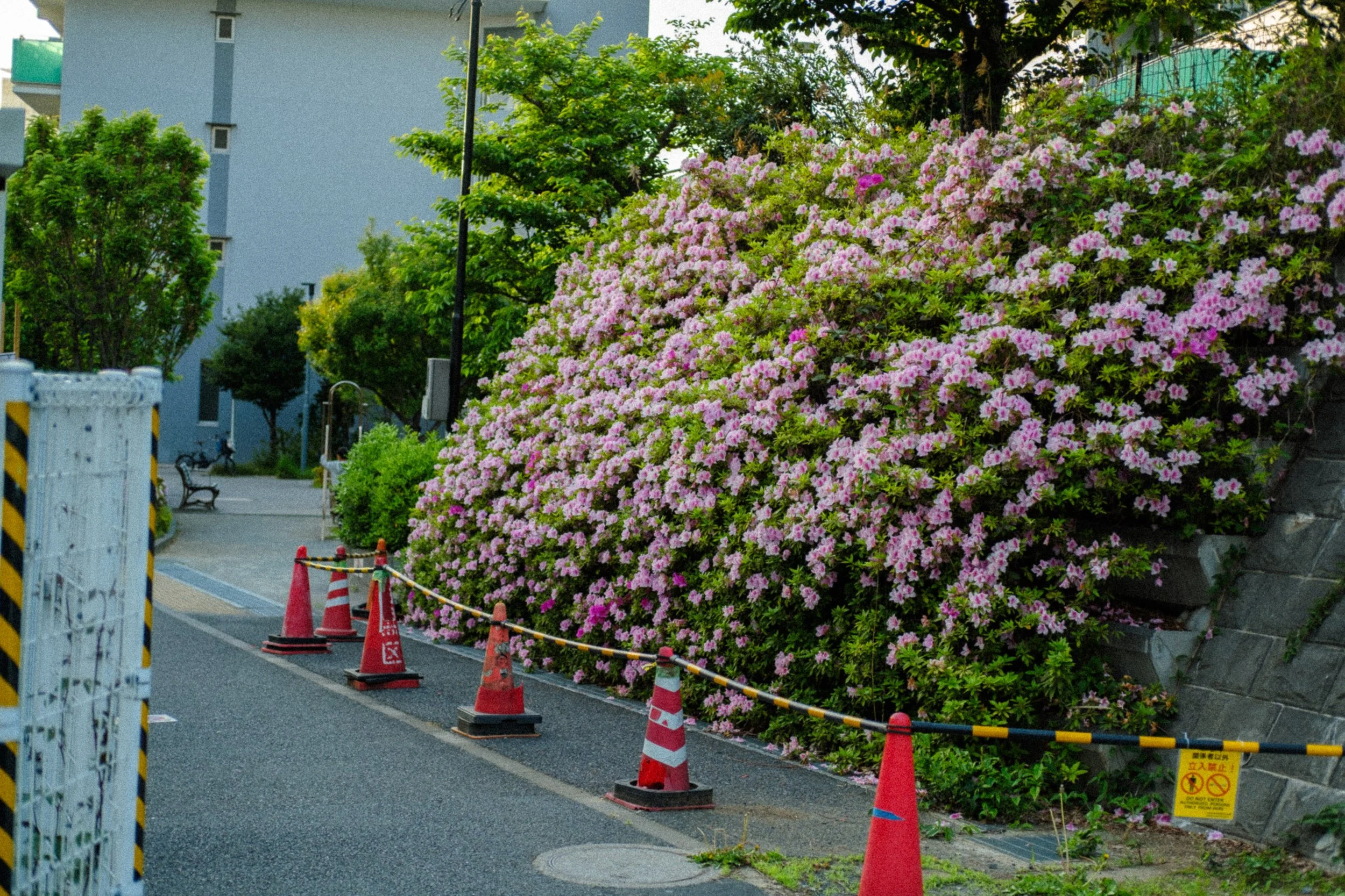 DSCF8403.jpg
