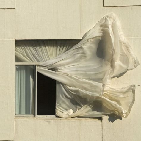 mood - windy day